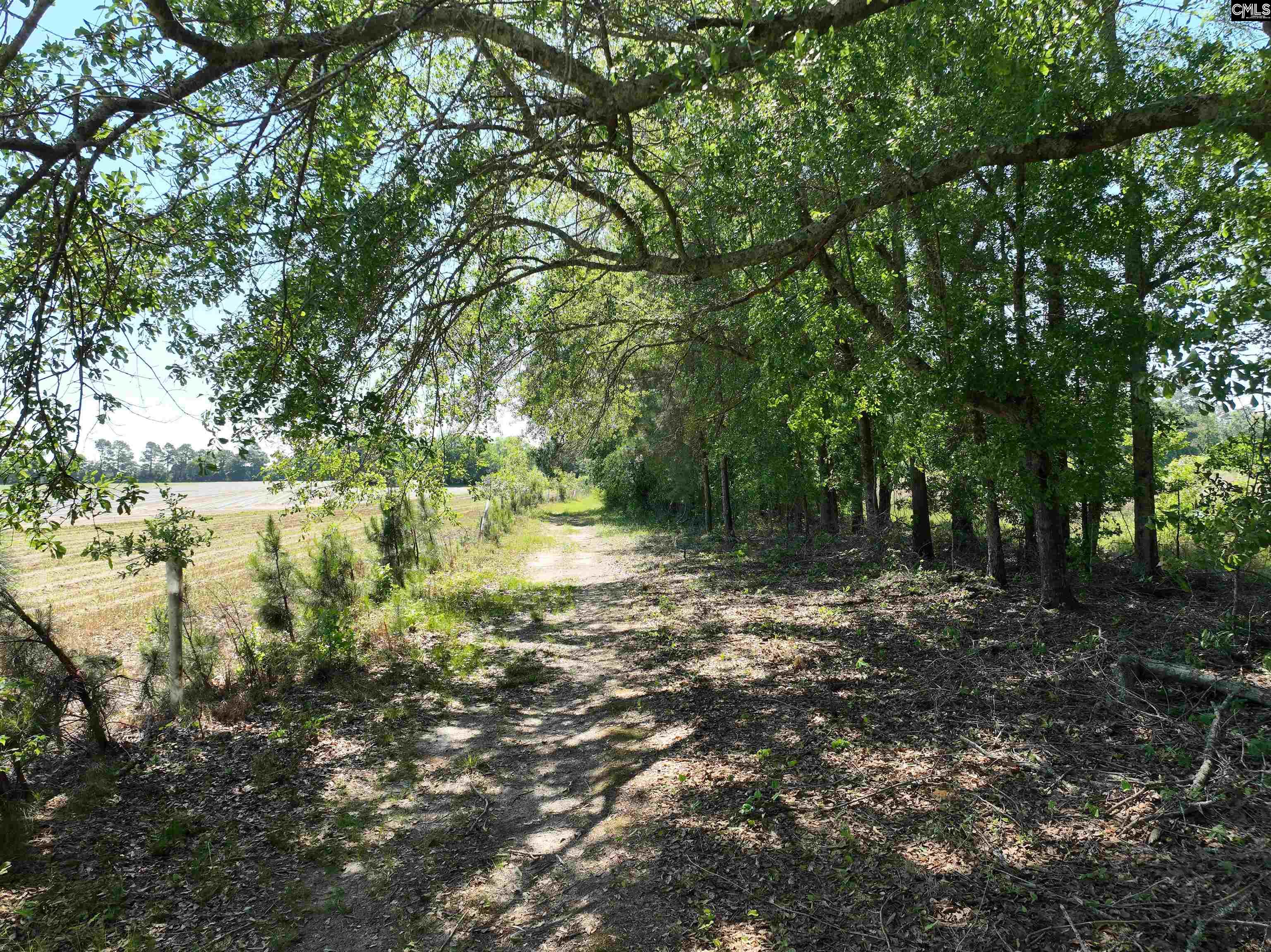 19914 Heritage Highway, Denmark, South Carolina image 18