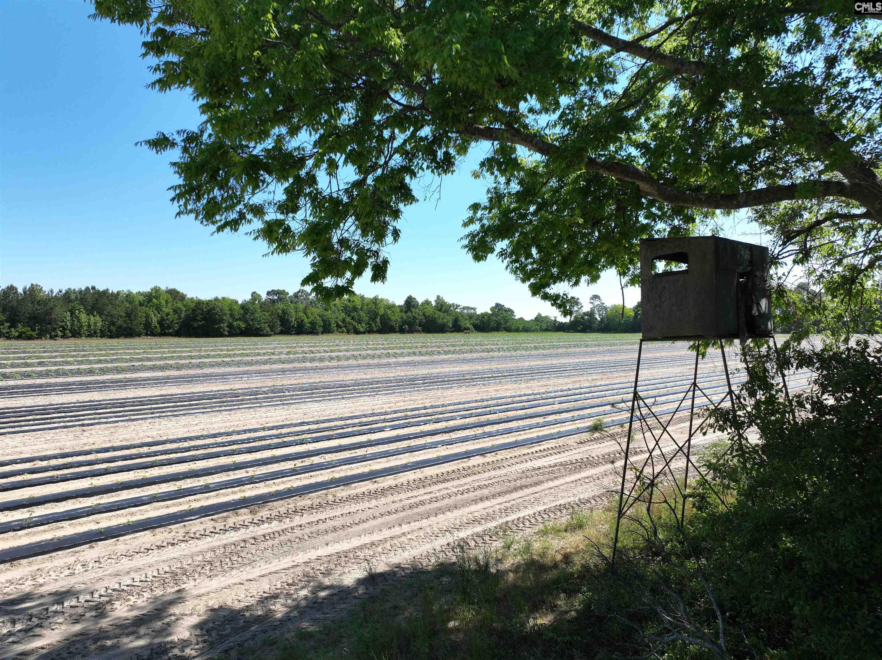 19914 Heritage Highway, Denmark, South Carolina image 19