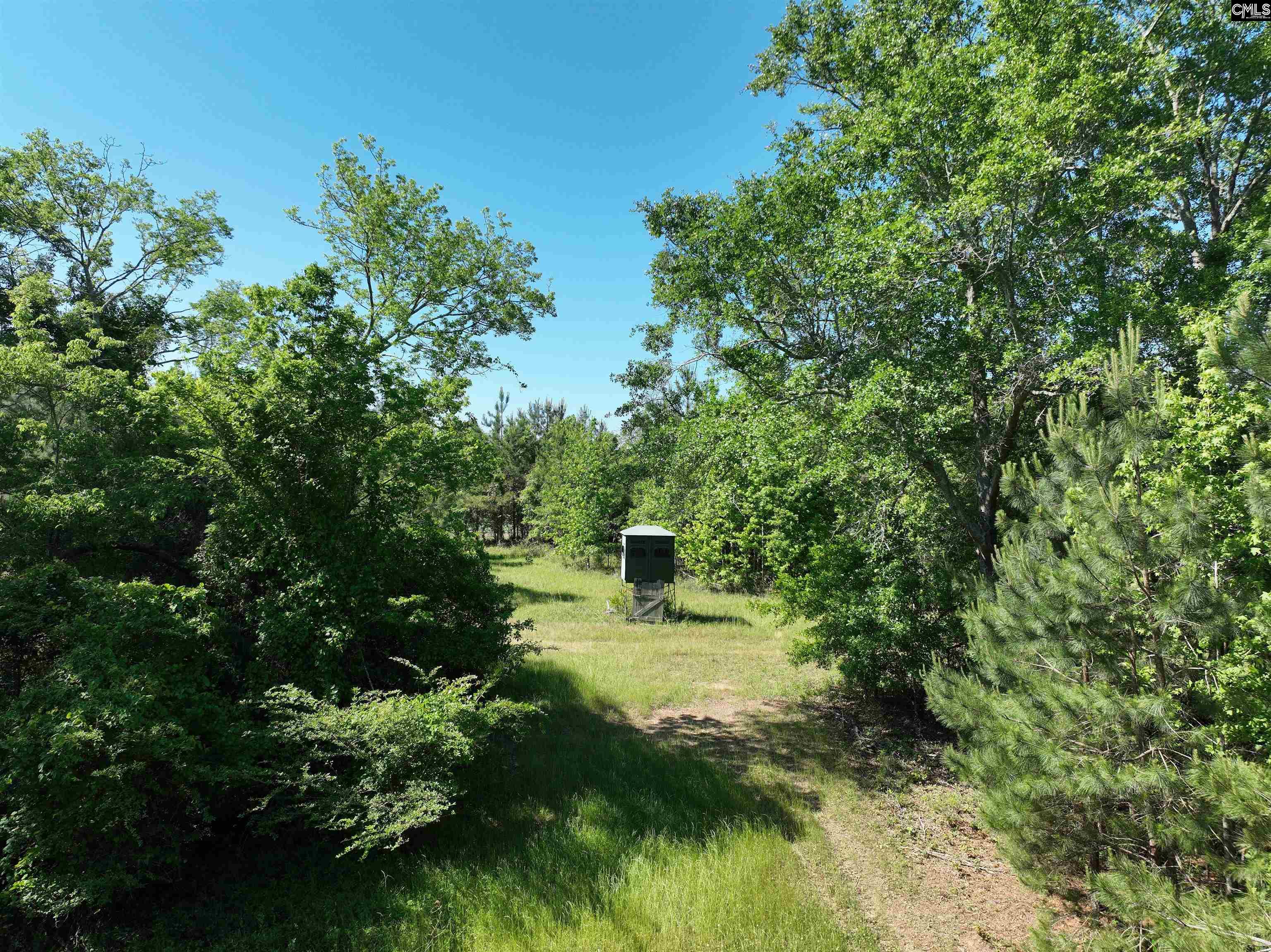 19914 Heritage Highway, Denmark, South Carolina image 3