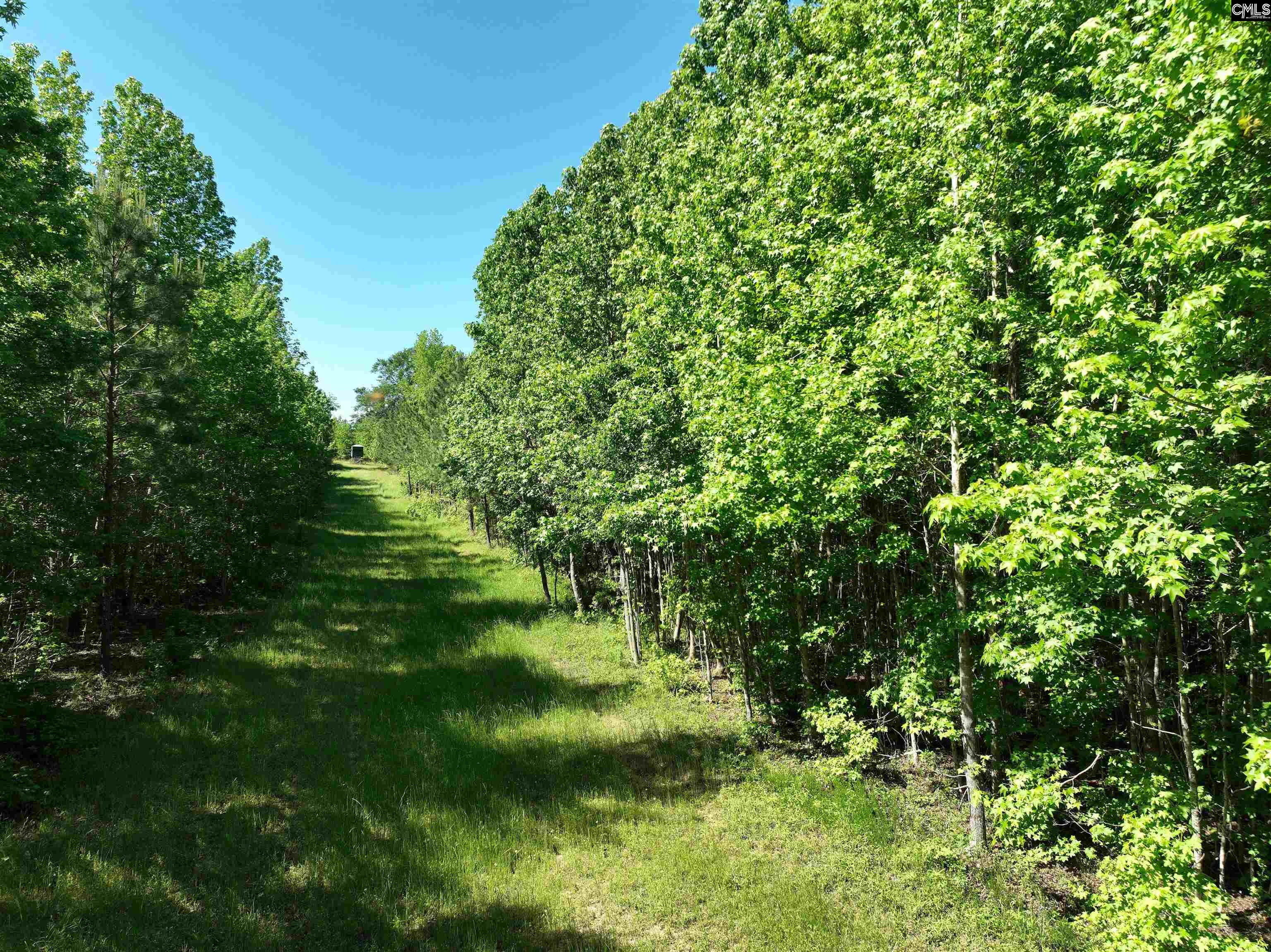 19914 Heritage Highway, Denmark, South Carolina image 4