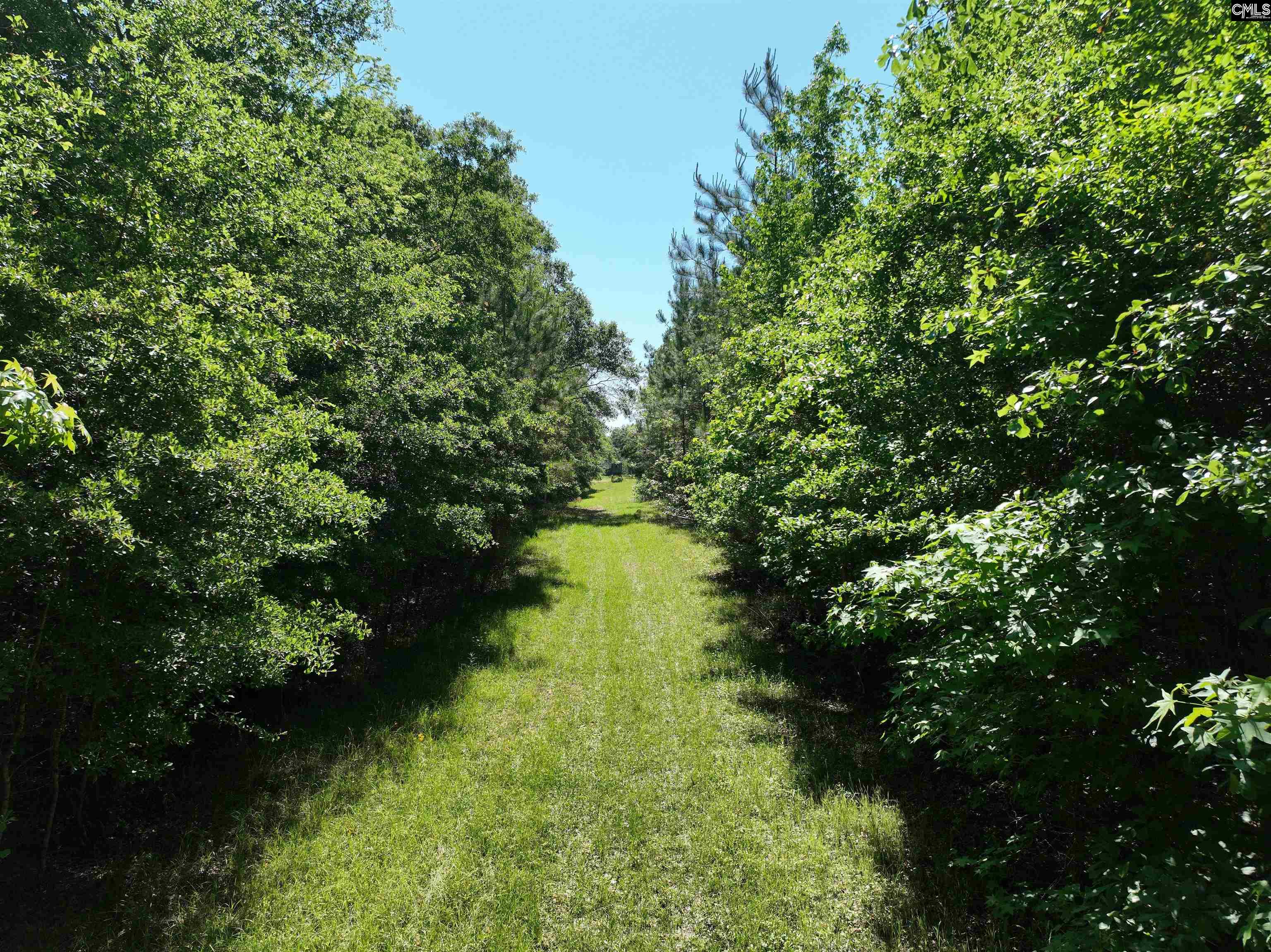 19914 Heritage Highway, Denmark, South Carolina image 5