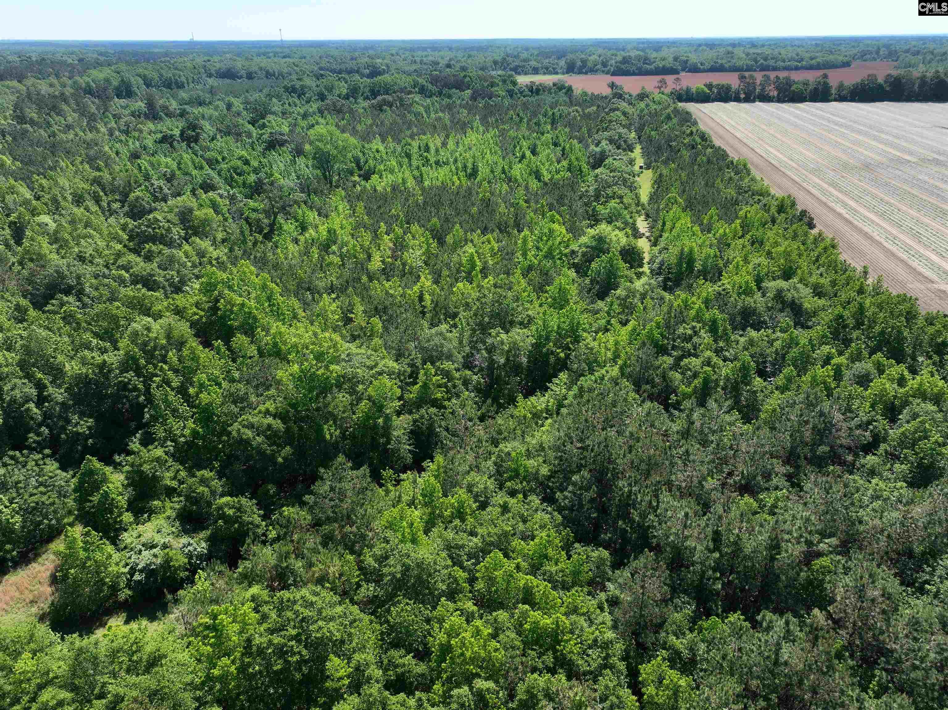 19914 Heritage Highway, Denmark, South Carolina image 9