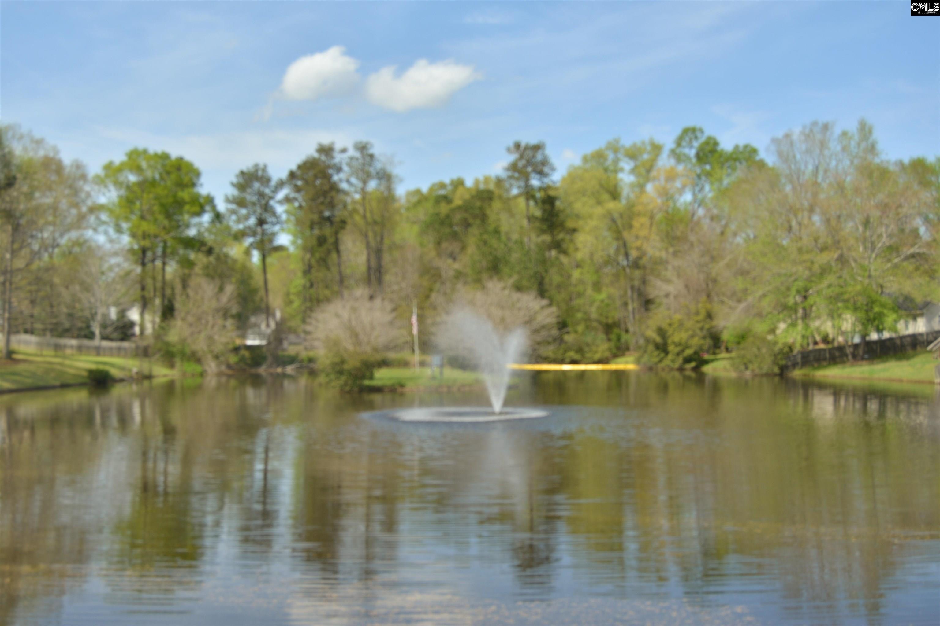25 Elcock Circle, Irmo, South Carolina image 42