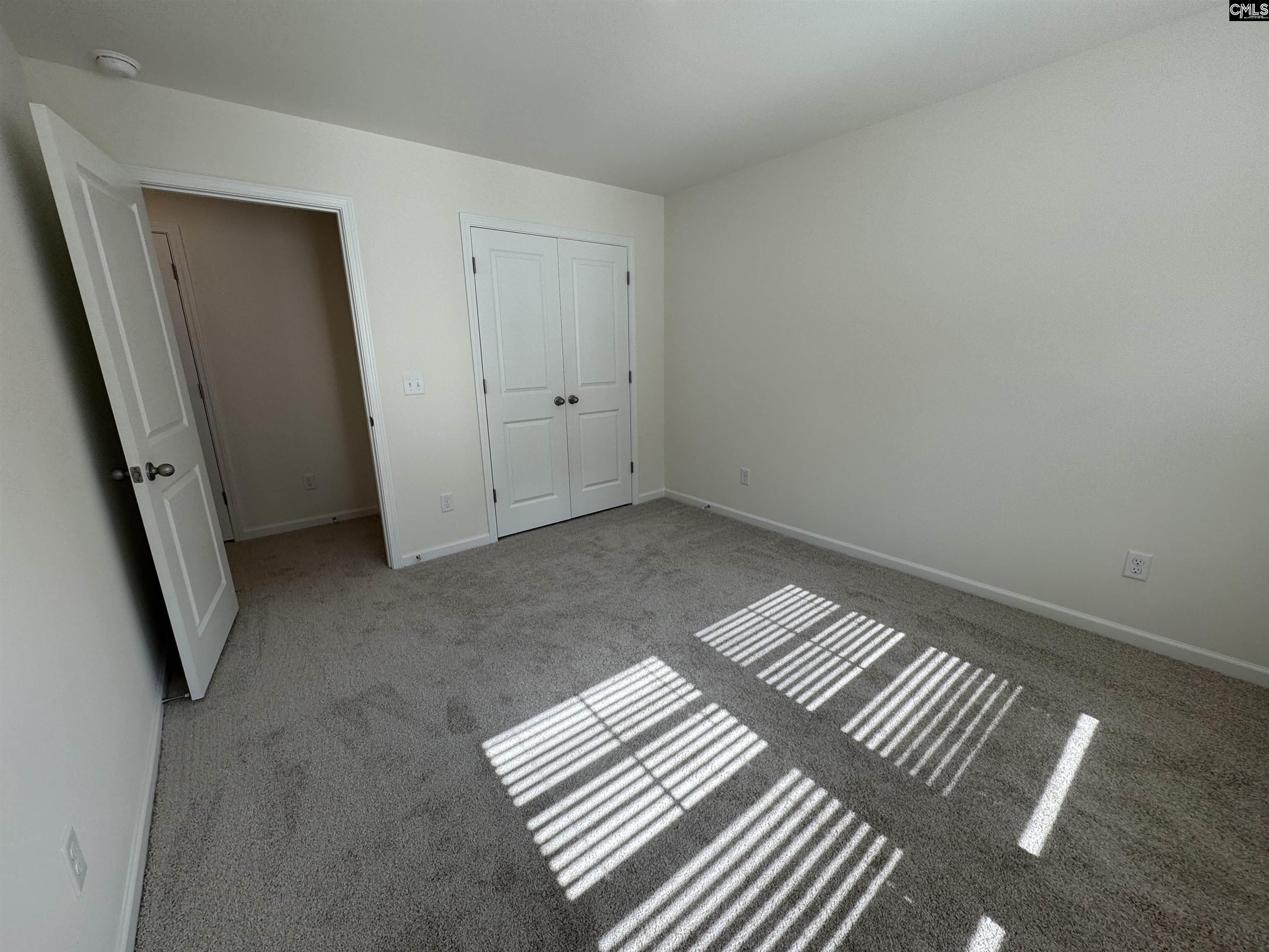 1065 Flat Coat Lane, Chapin, South Carolina image 12