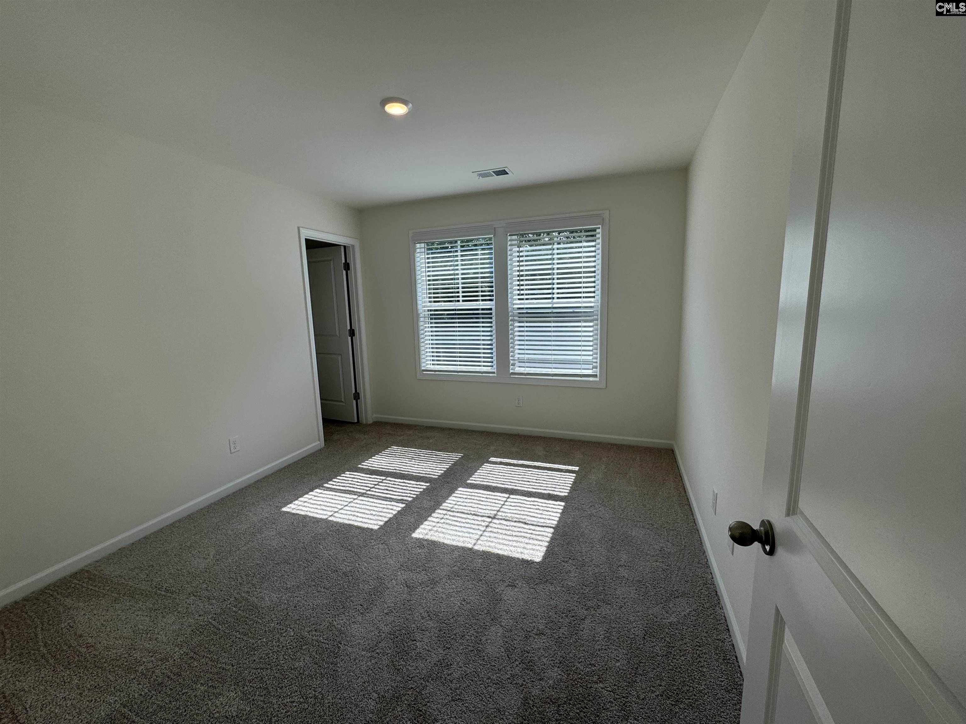1065 Flat Coat Lane, Chapin, South Carolina image 13