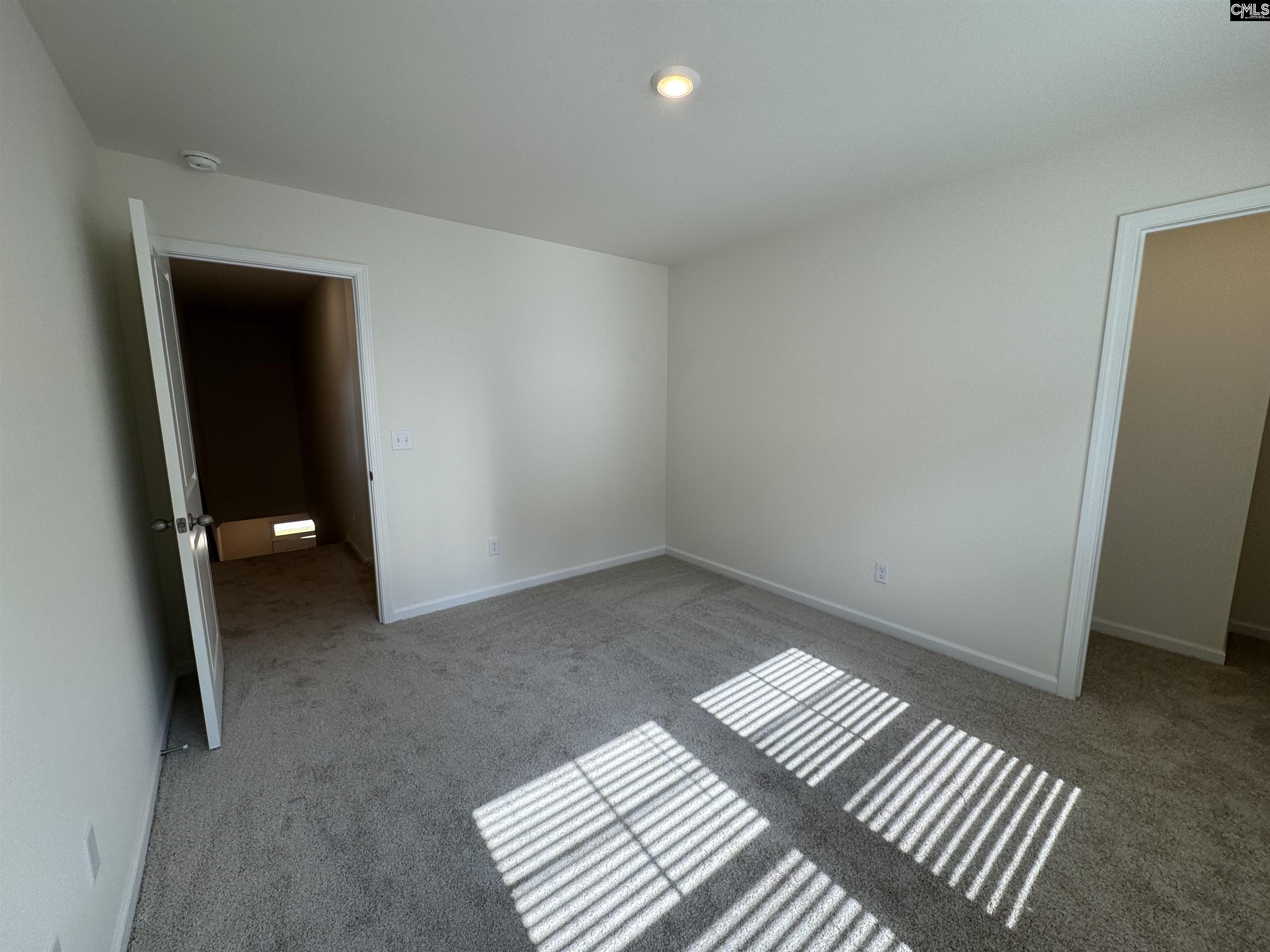 1065 Flat Coat Lane, Chapin, South Carolina image 15