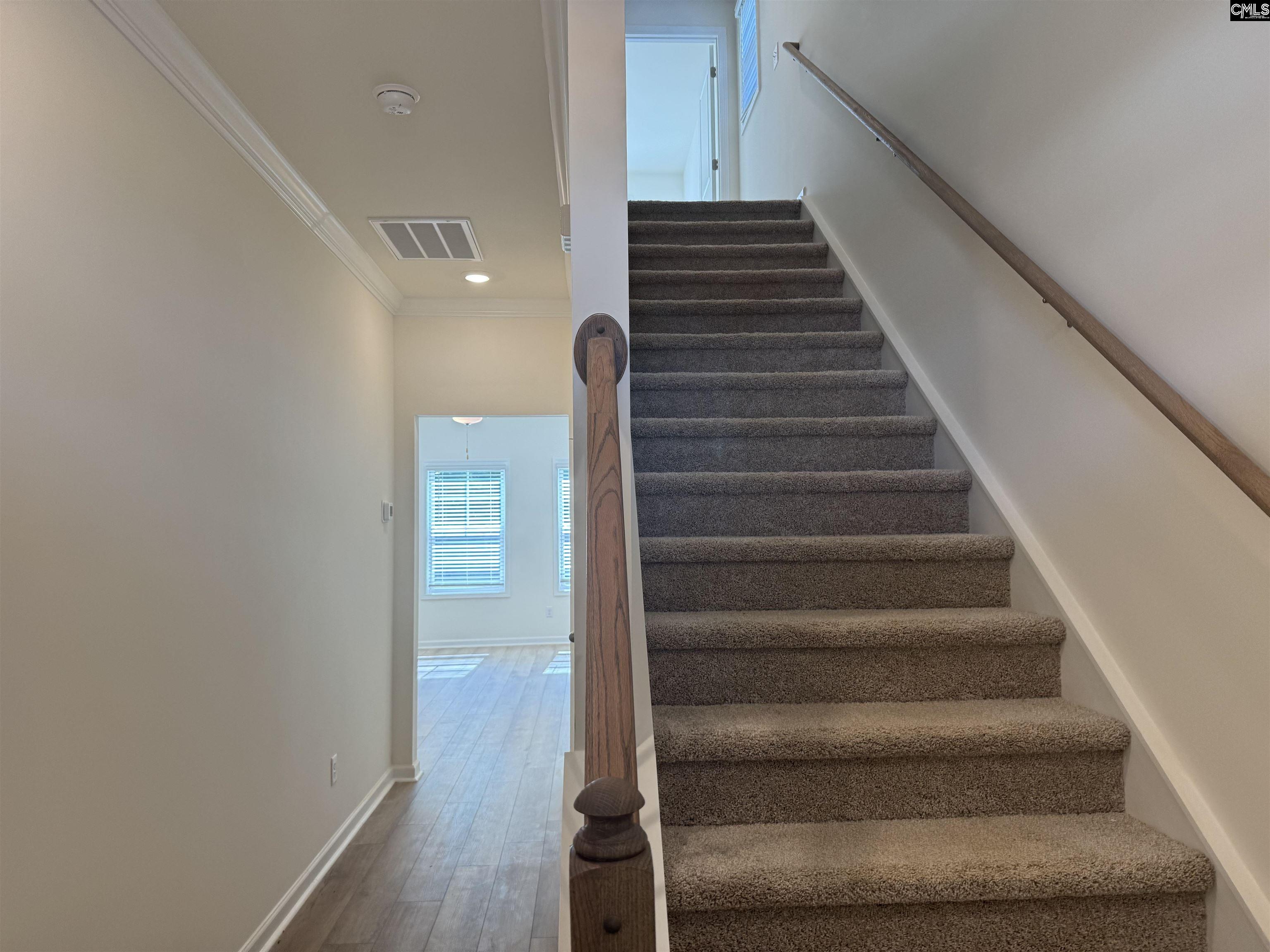 1065 Flat Coat Lane, Chapin, South Carolina image 3