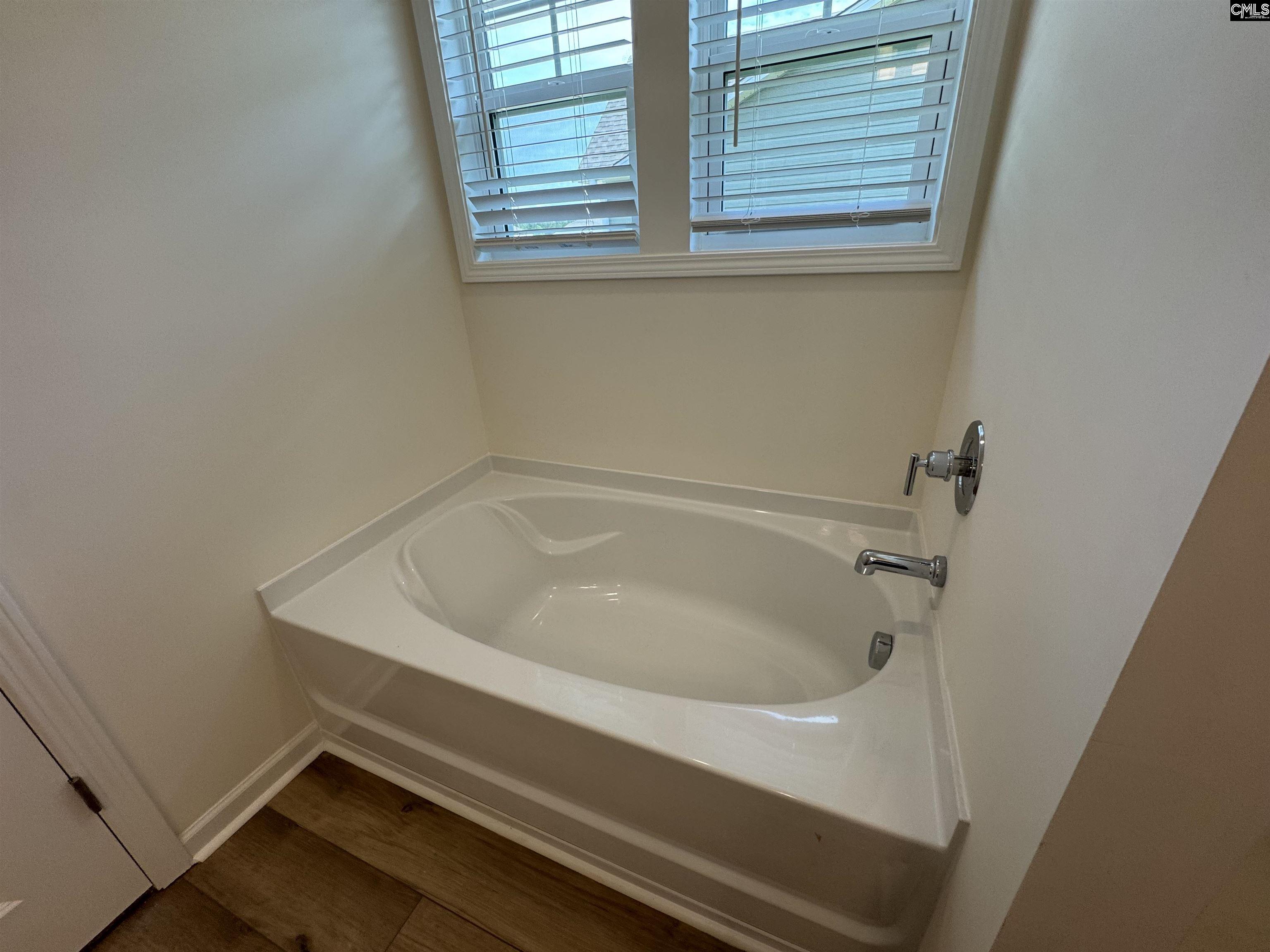 1065 Flat Coat Lane, Chapin, South Carolina image 23