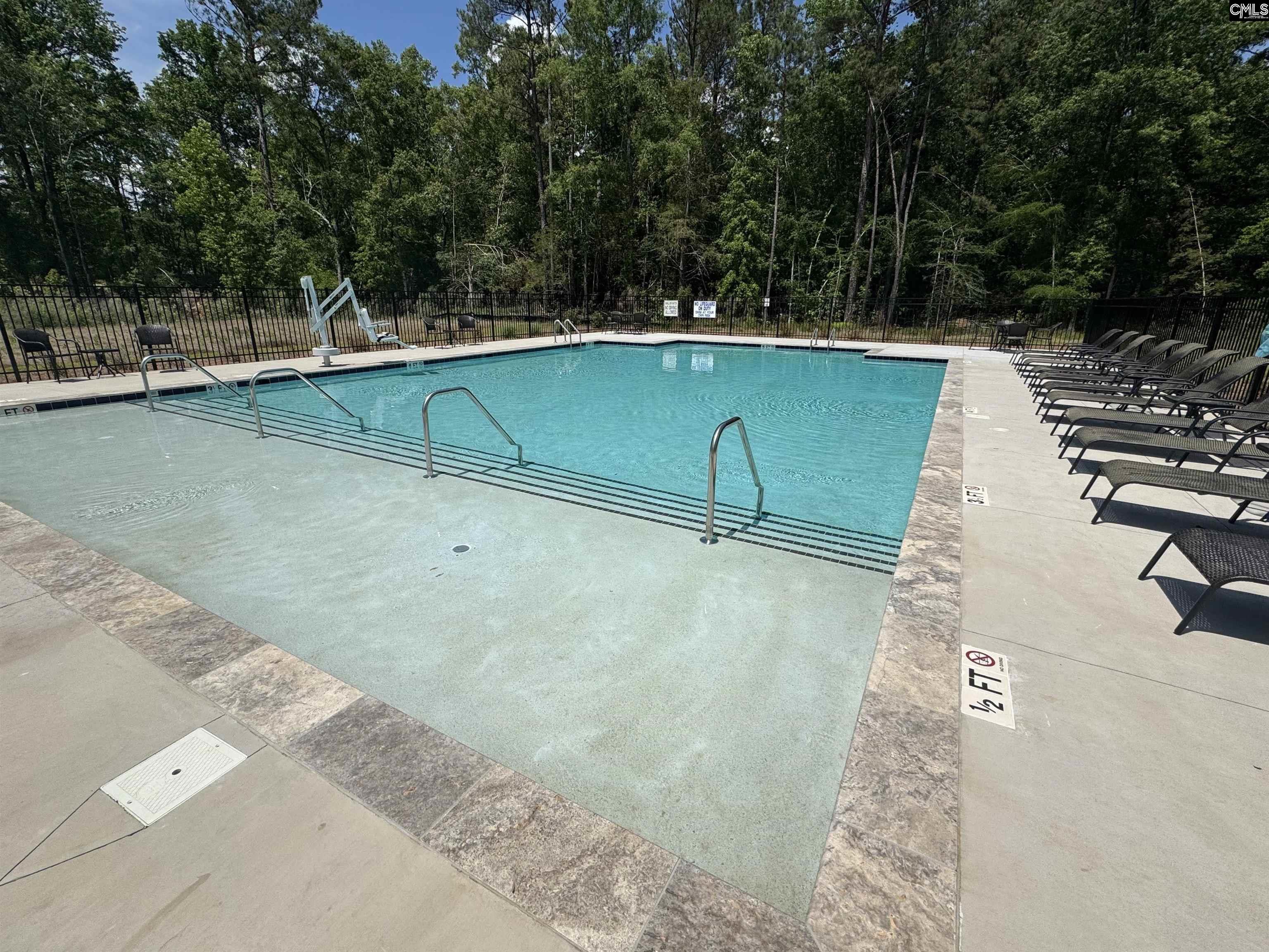 1065 Flat Coat Lane, Chapin, South Carolina image 27
