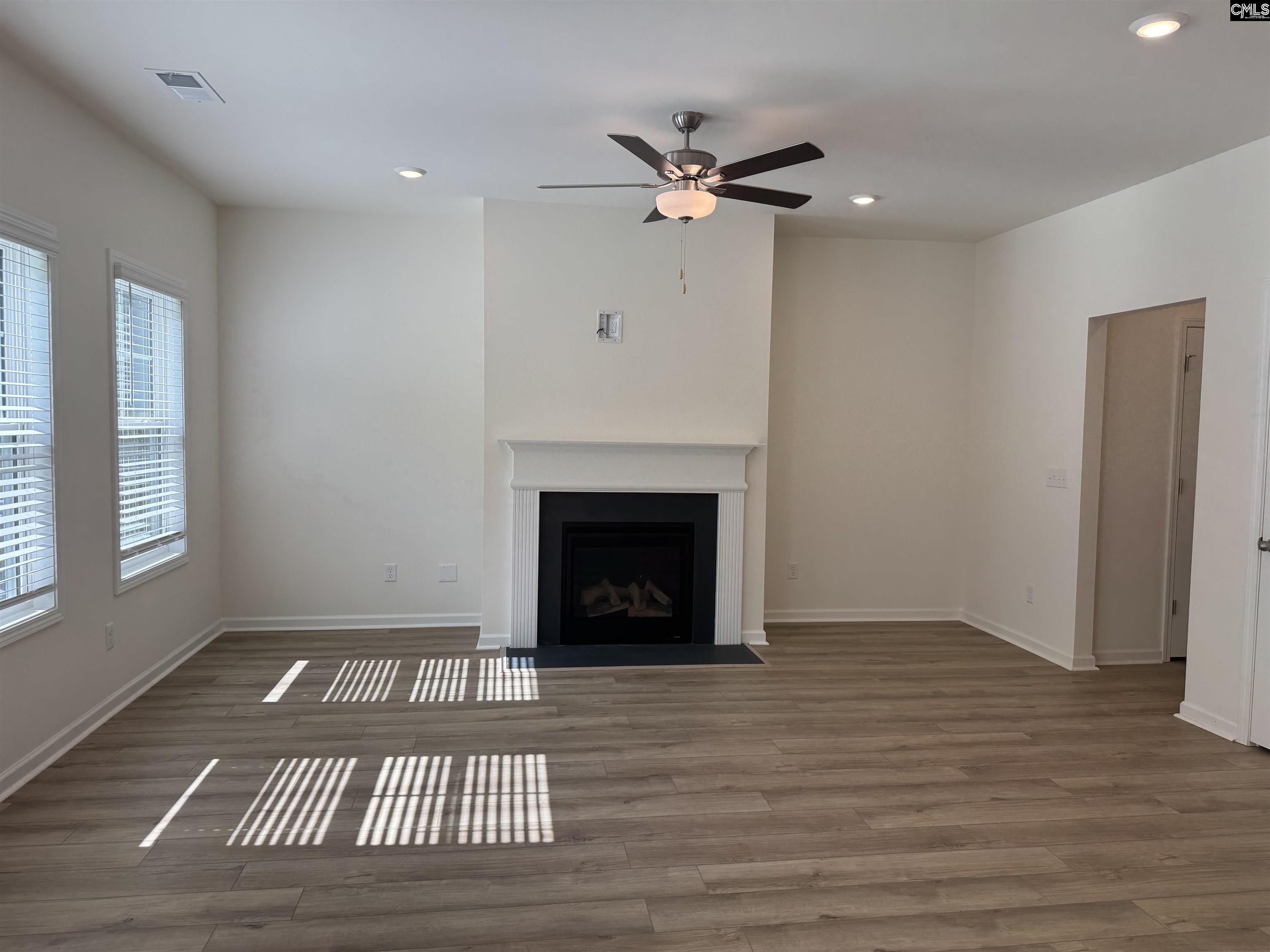 1065 Flat Coat Lane, Chapin, South Carolina image 4