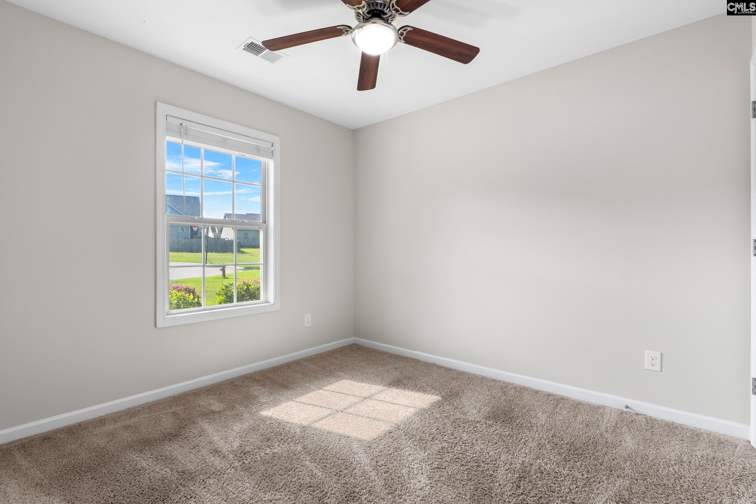 444 Mediterranean Avenue, Chapin, South Carolina image 20