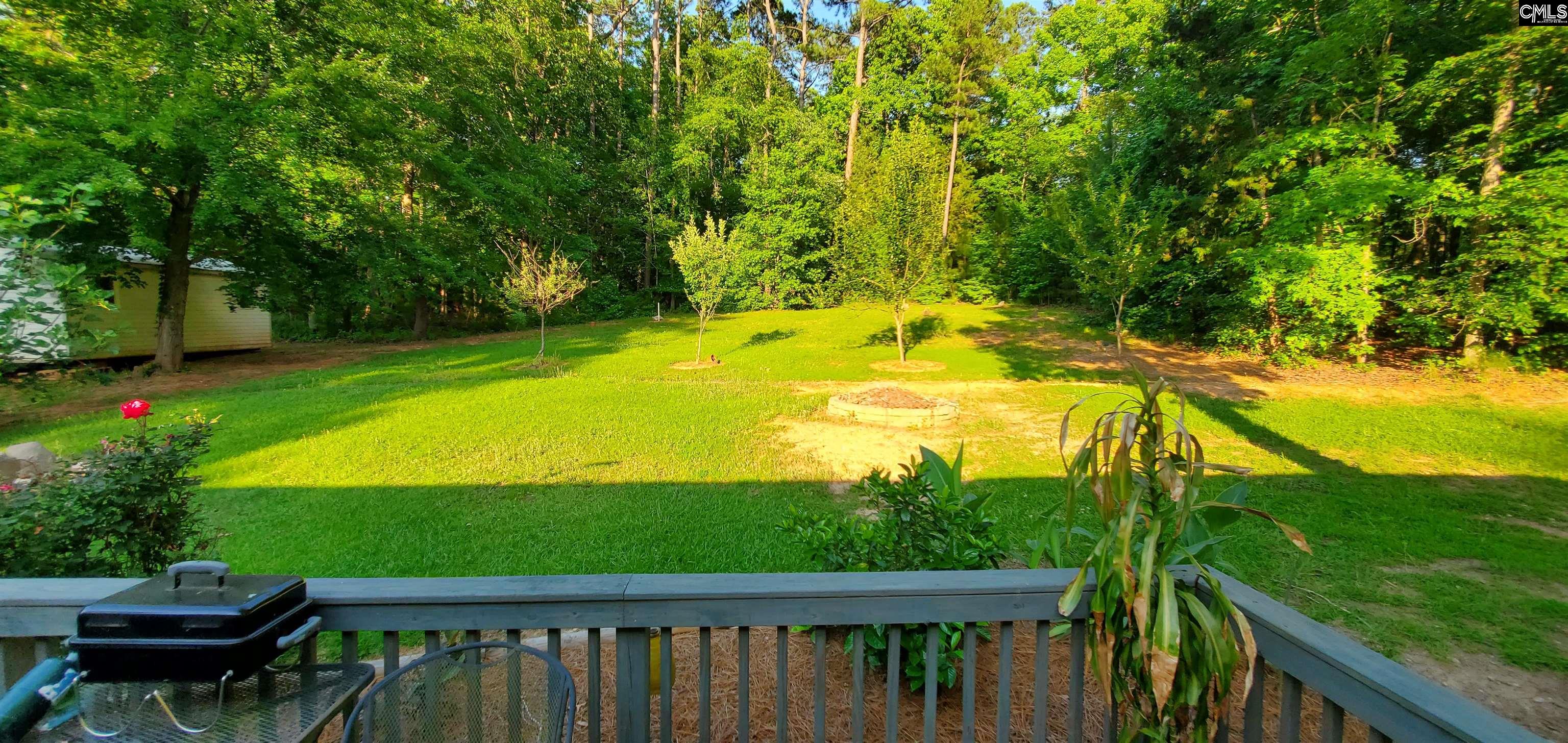 1193 Blacksgate East, Prosperity, South Carolina image 19