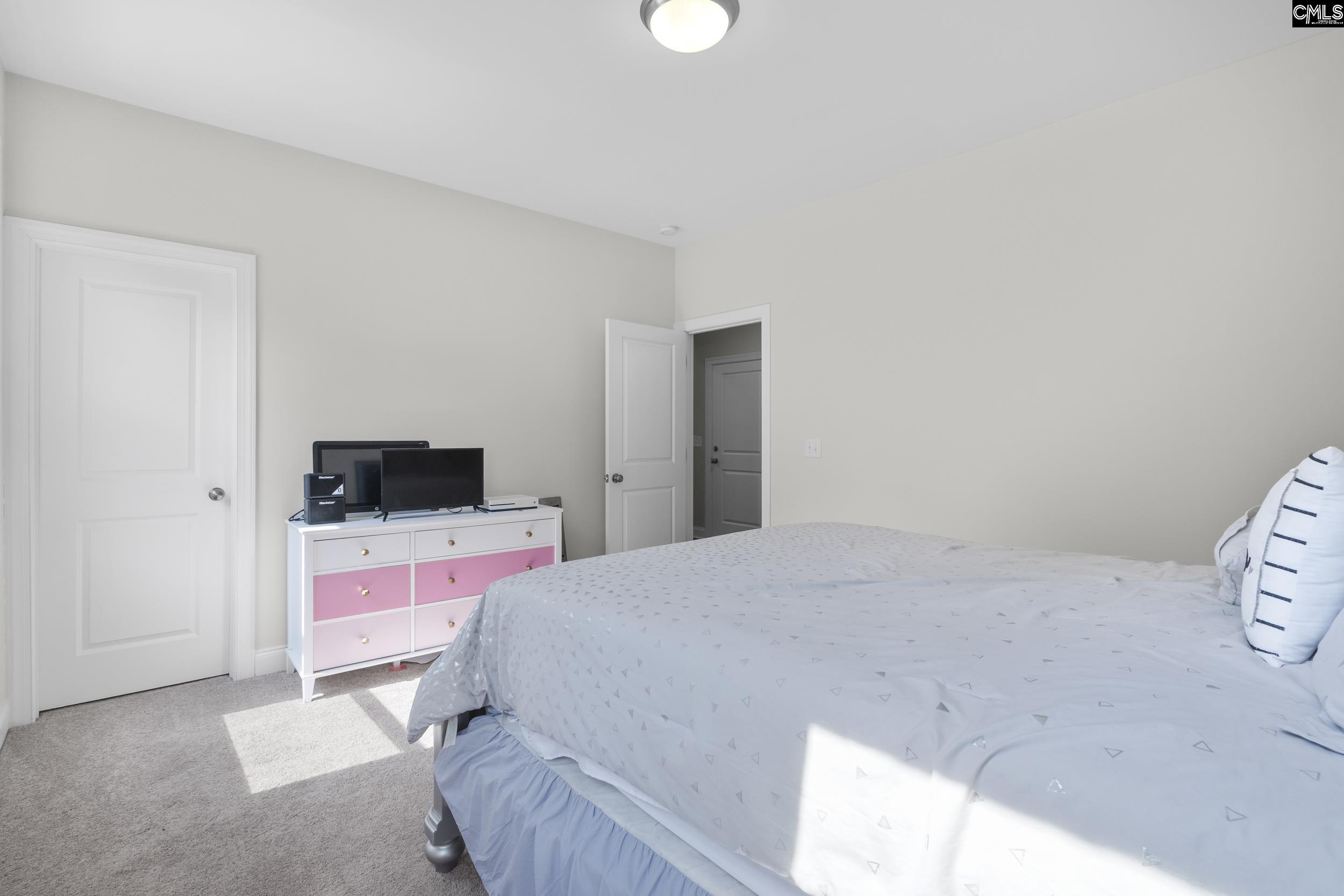 309 Springbrook Way, Chapin, South Carolina image 15