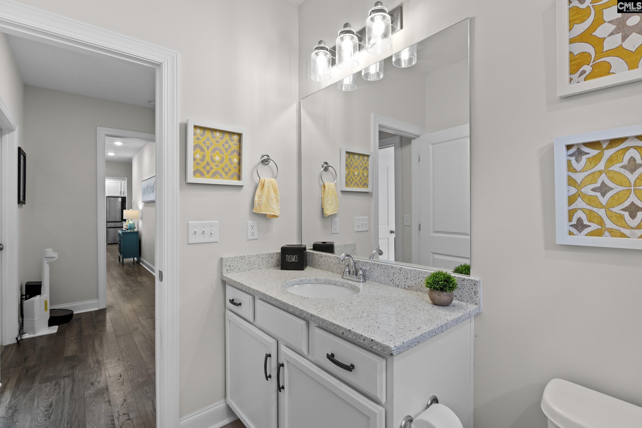 309 Springbrook Way, Chapin, South Carolina image 16