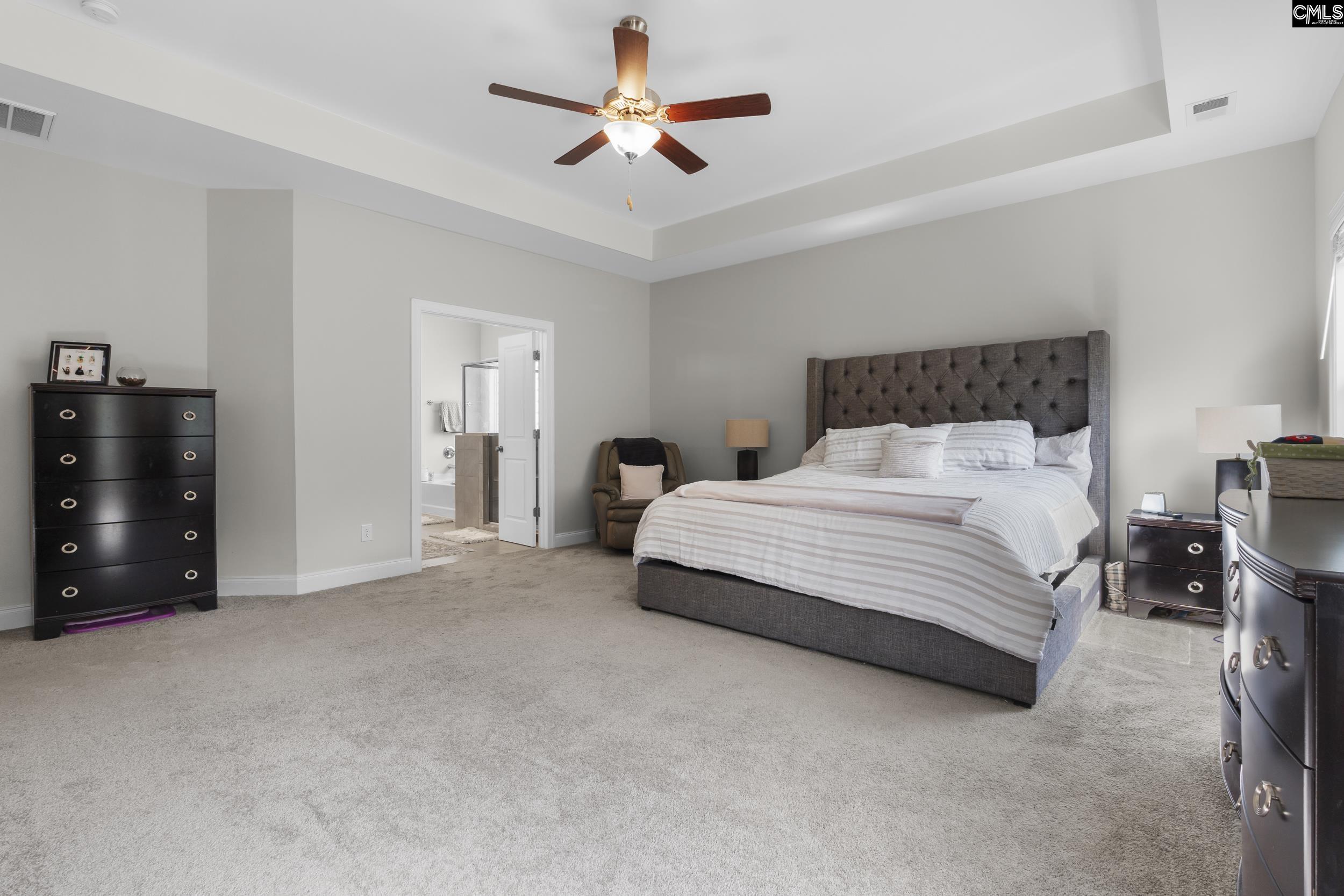 309 Springbrook Way, Chapin, South Carolina image 21