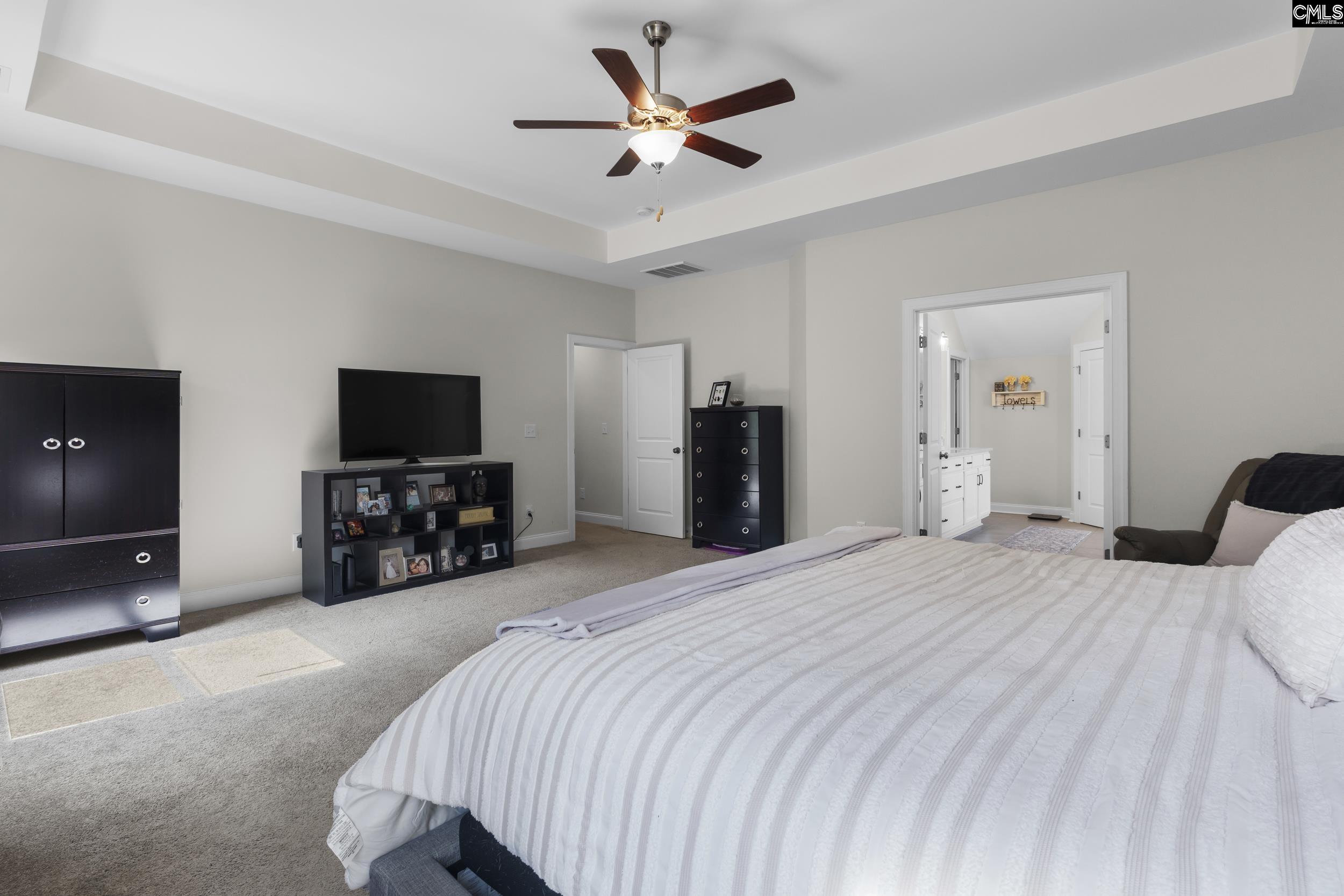 309 Springbrook Way, Chapin, South Carolina image 22