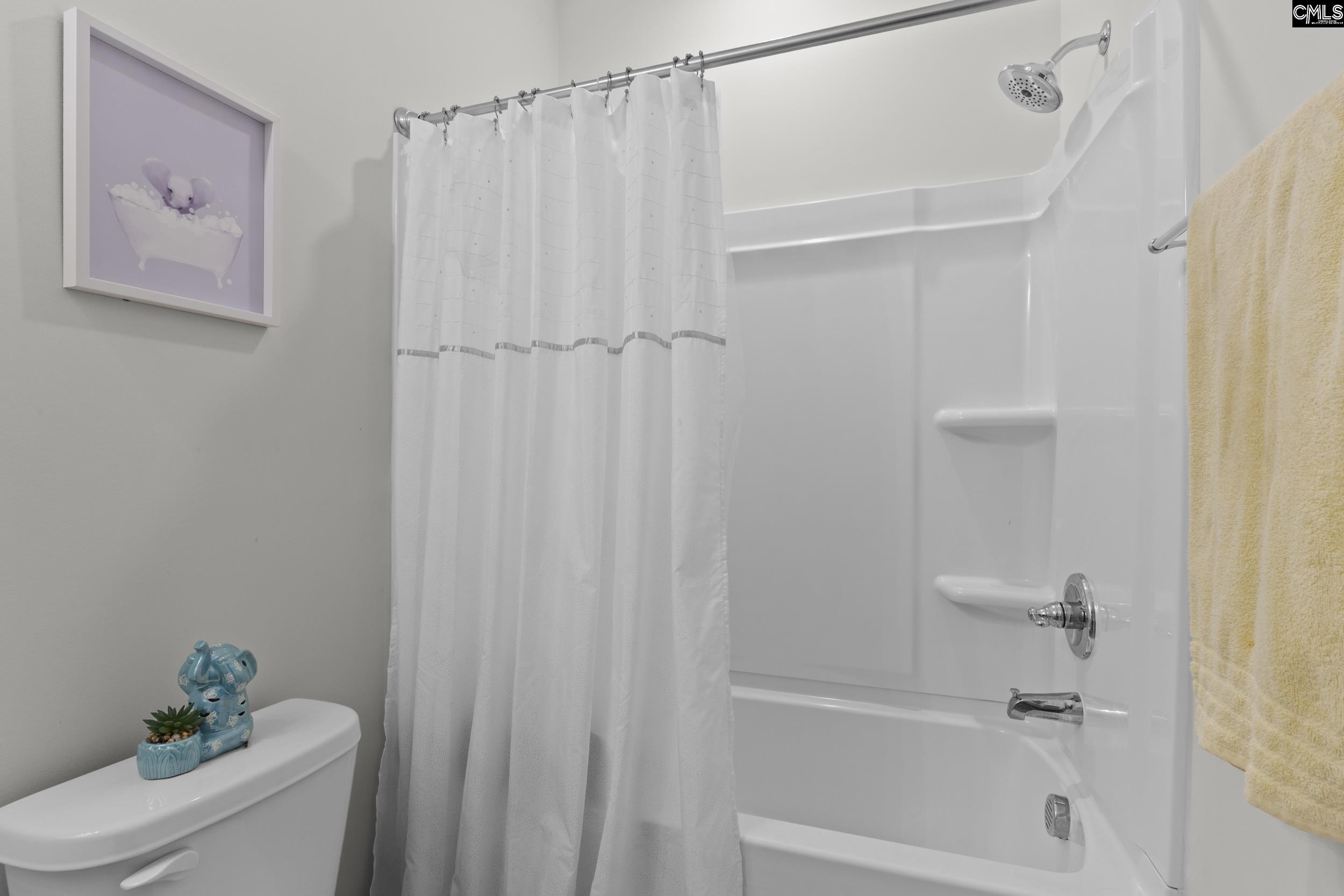 309 Springbrook Way, Chapin, South Carolina image 32