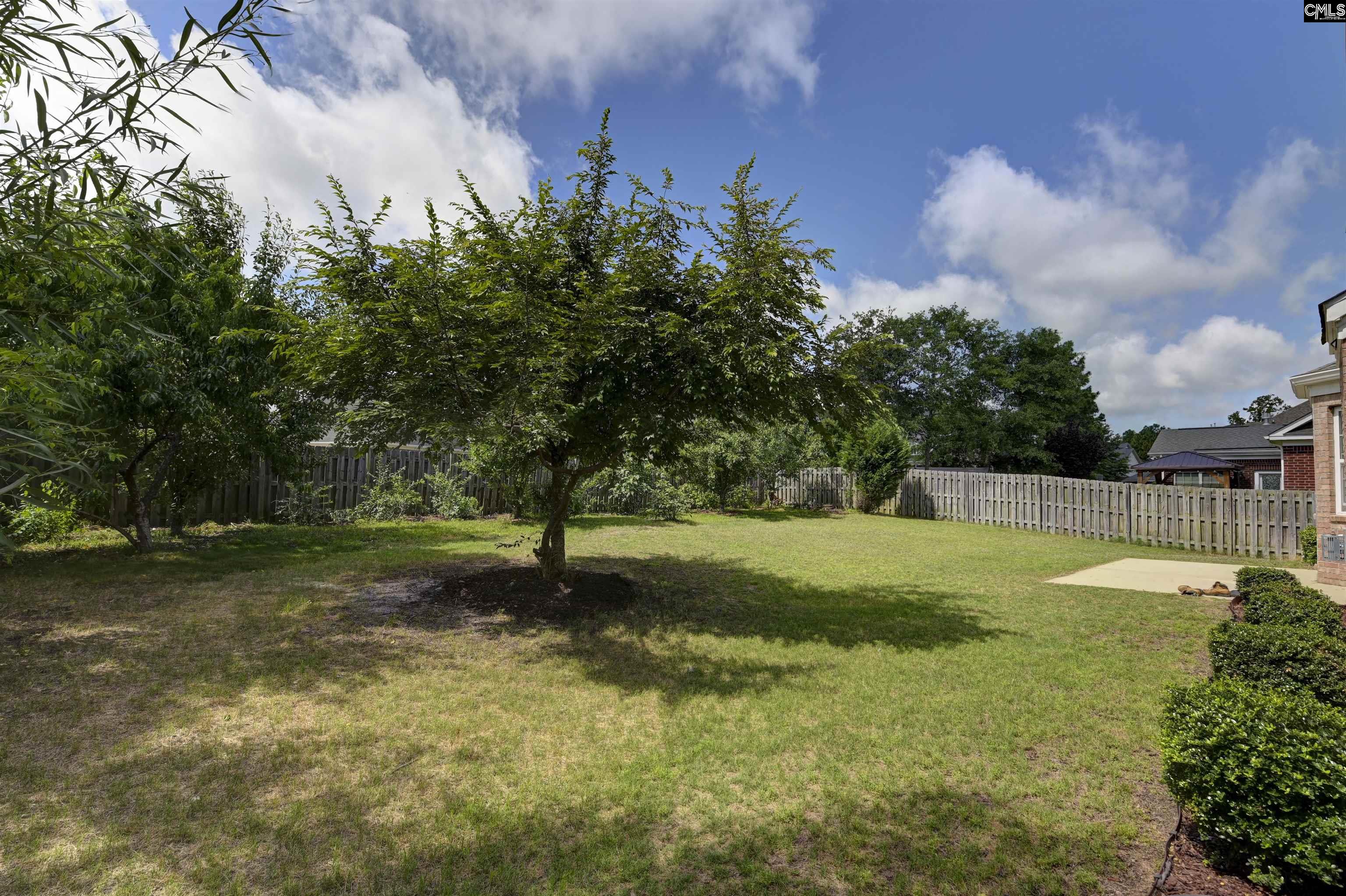 741 Near Creek Drive, Blythewood, South Carolina image 43