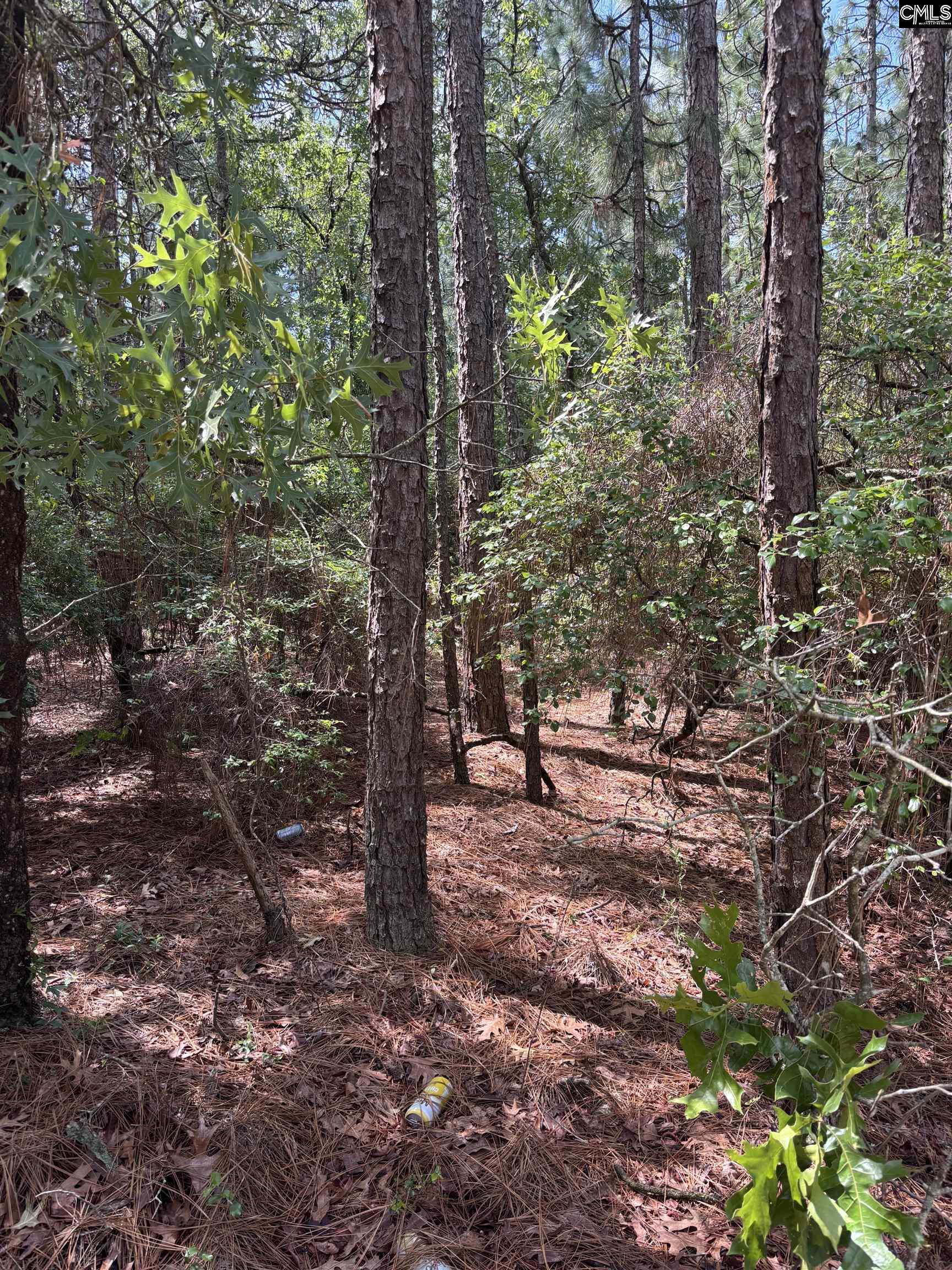 Lot 1 Gary Hallman Circle, Leesville, South Carolina image 1