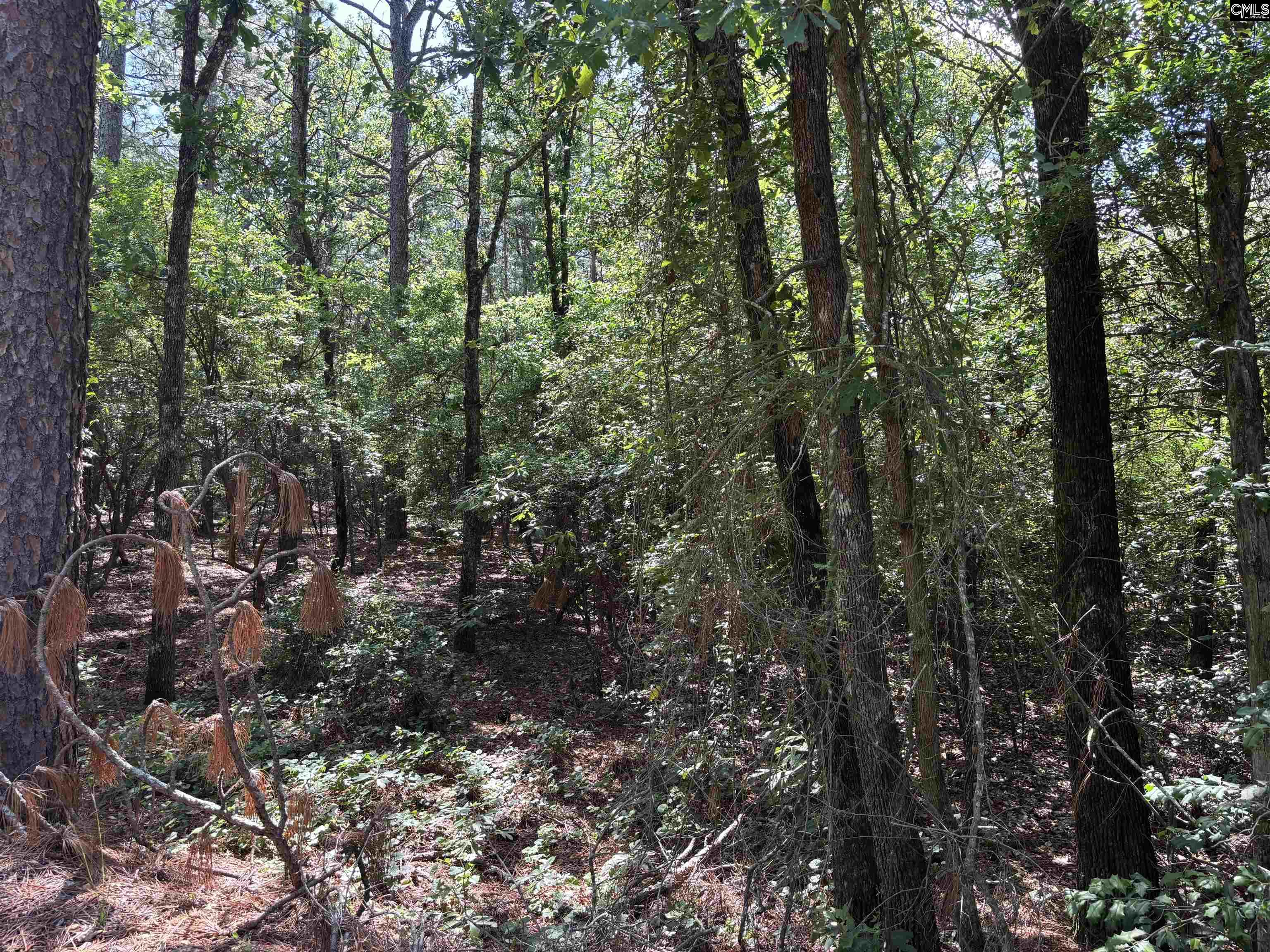 Lot 1 Gary Hallman Circle, Leesville, South Carolina image 13