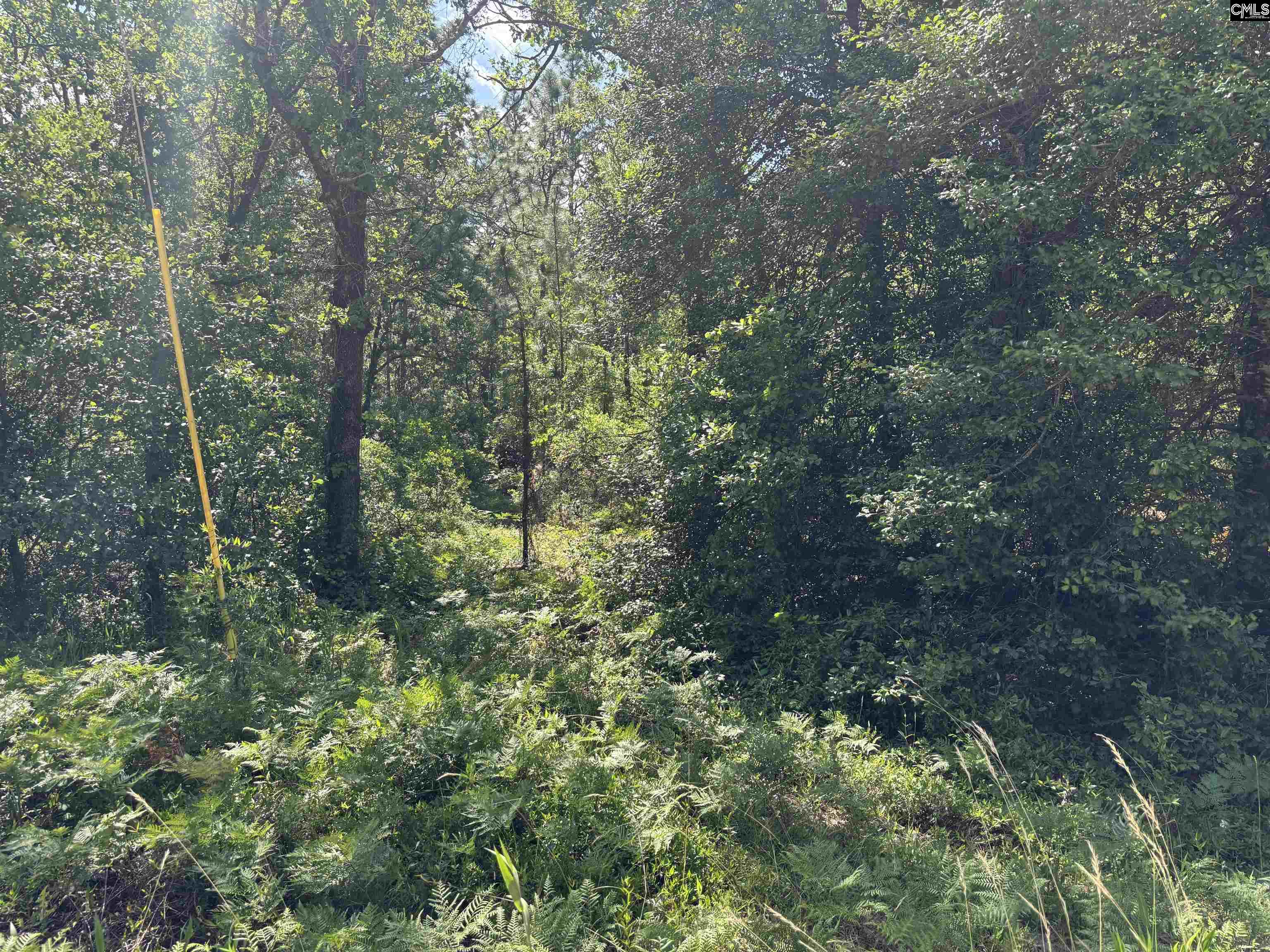 Lot 1 Gary Hallman Circle, Leesville, South Carolina image 9