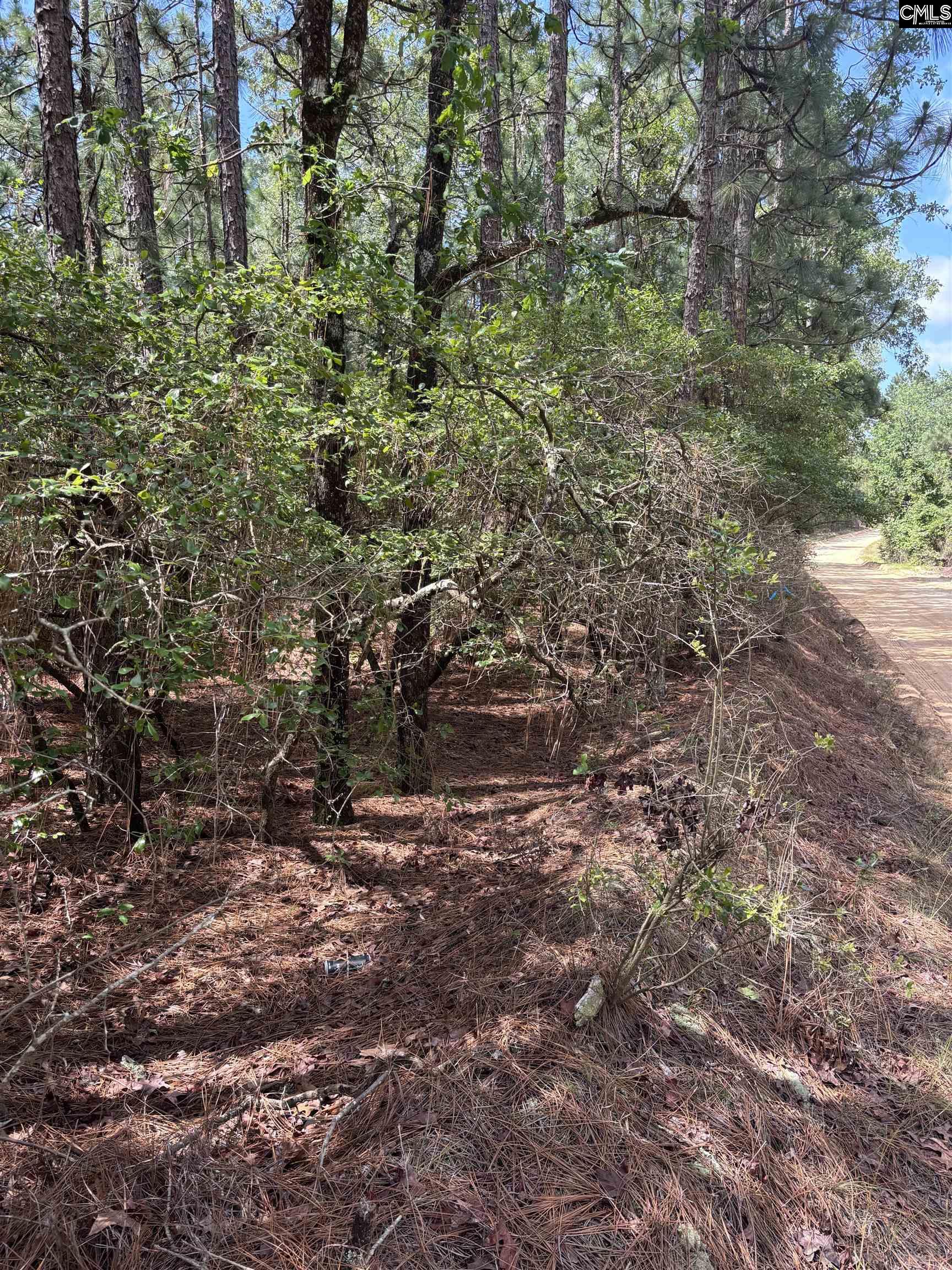 Lot 2 Gary Hallman Circle, Leesville, South Carolina image 2