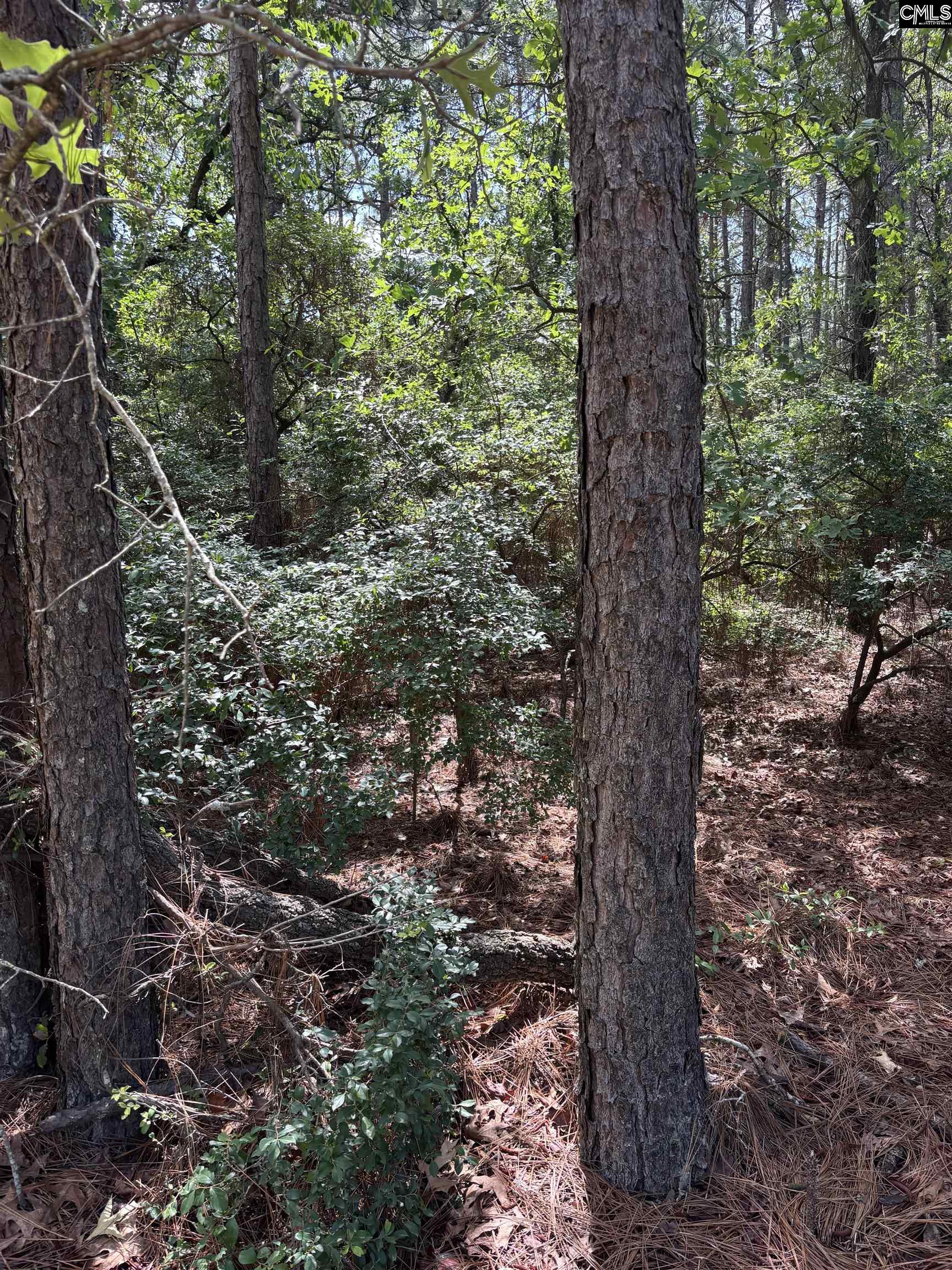 Lot 2 Gary Hallman Circle, Leesville, South Carolina image 3