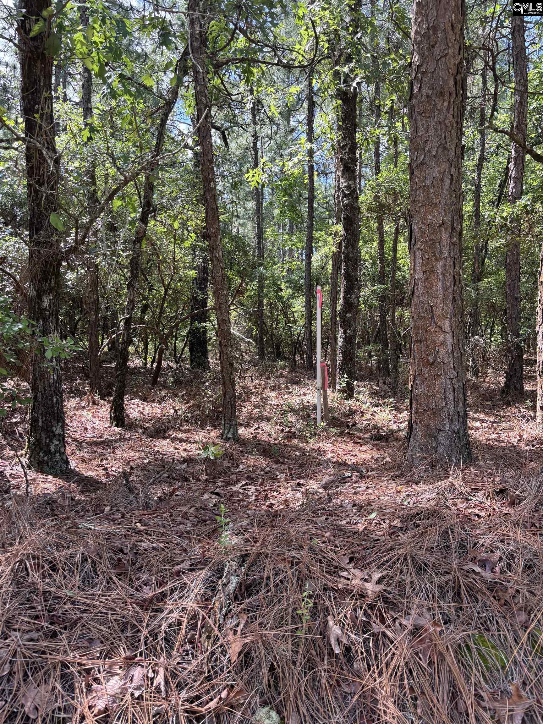 Lot 2 Gary Hallman Circle, Leesville, South Carolina image 4