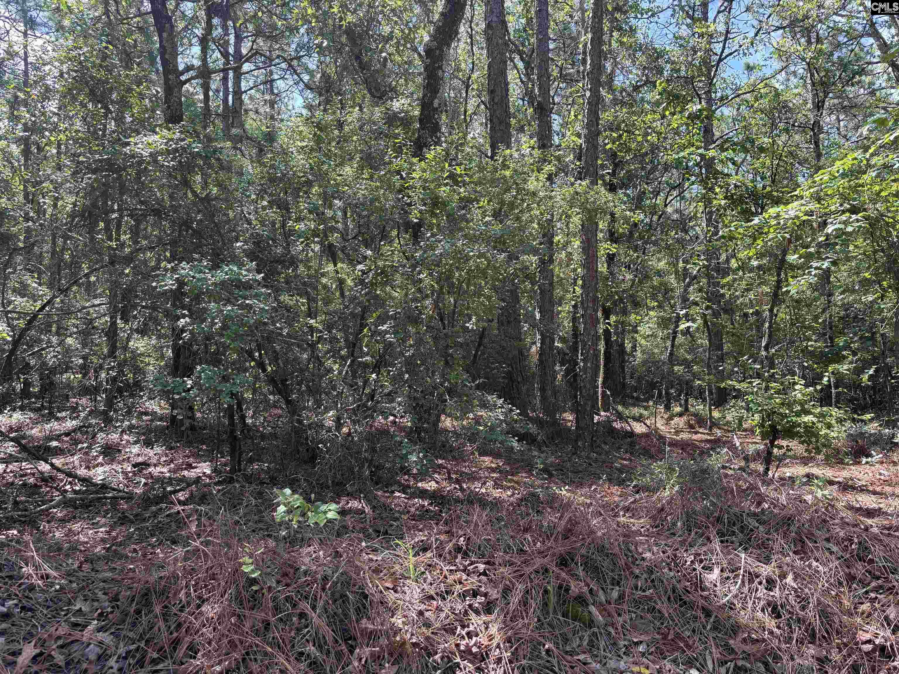 Lot 2 Gary Hallman Circle, Leesville, South Carolina image 5