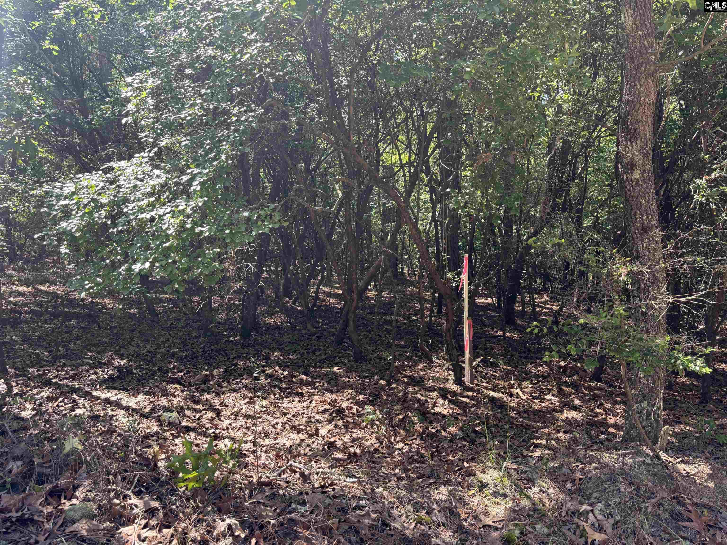Lot 2 Gary Hallman Circle, Leesville, South Carolina image 8