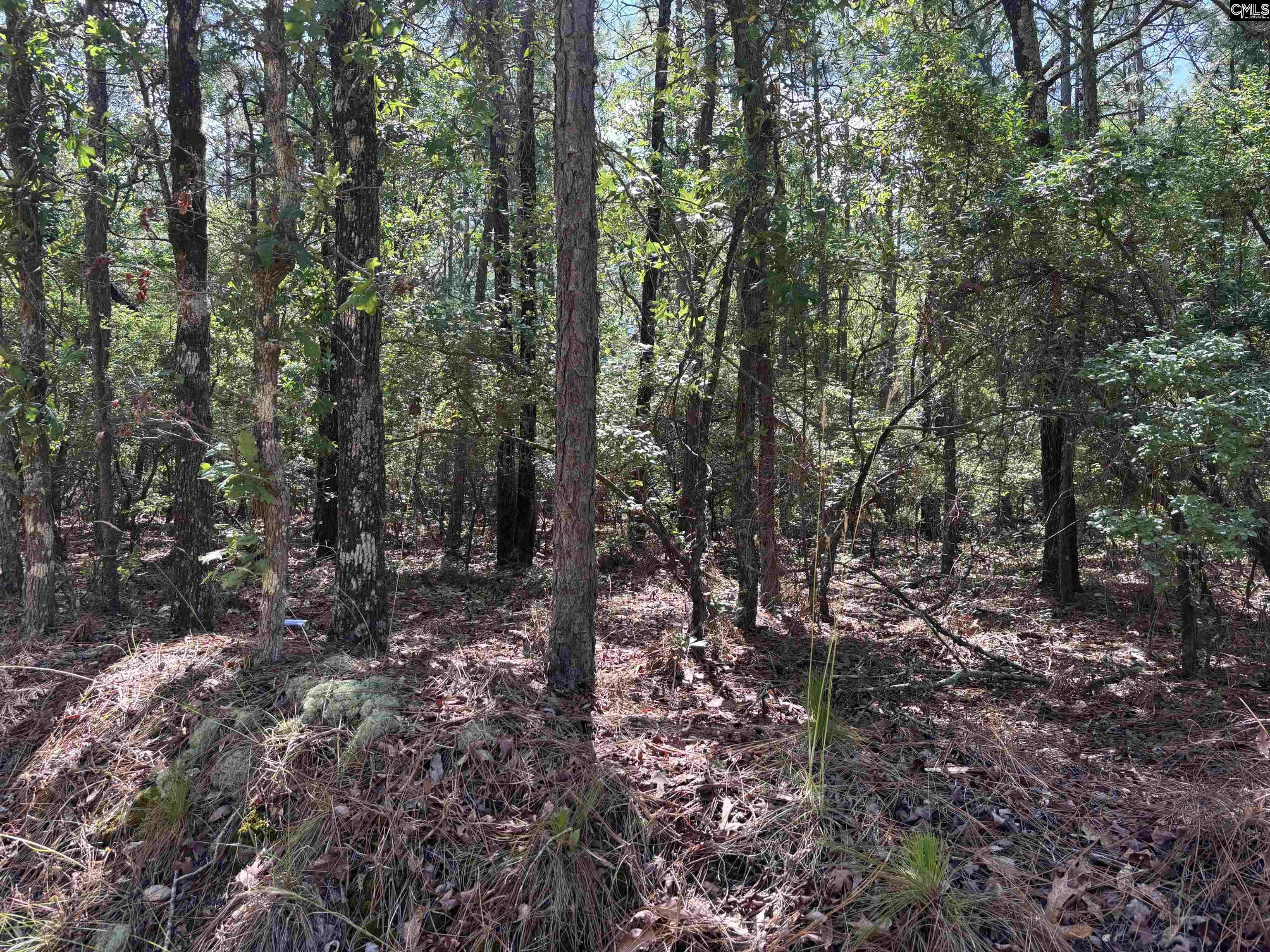 Lot 2 Gary Hallman Circle, Leesville, South Carolina image 10