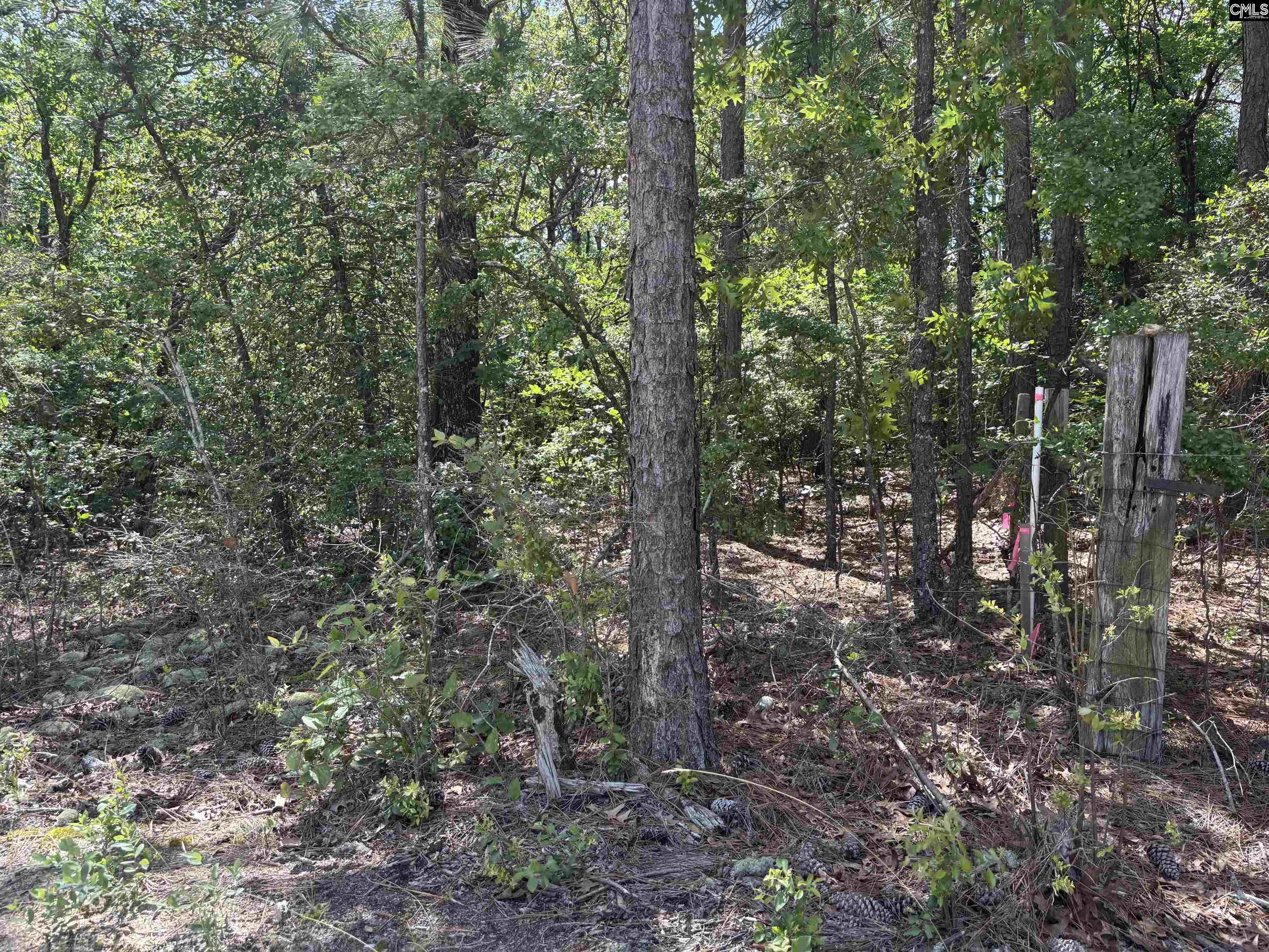 Lot 3 Gary Hallman Circle, Leesville, South Carolina image 1