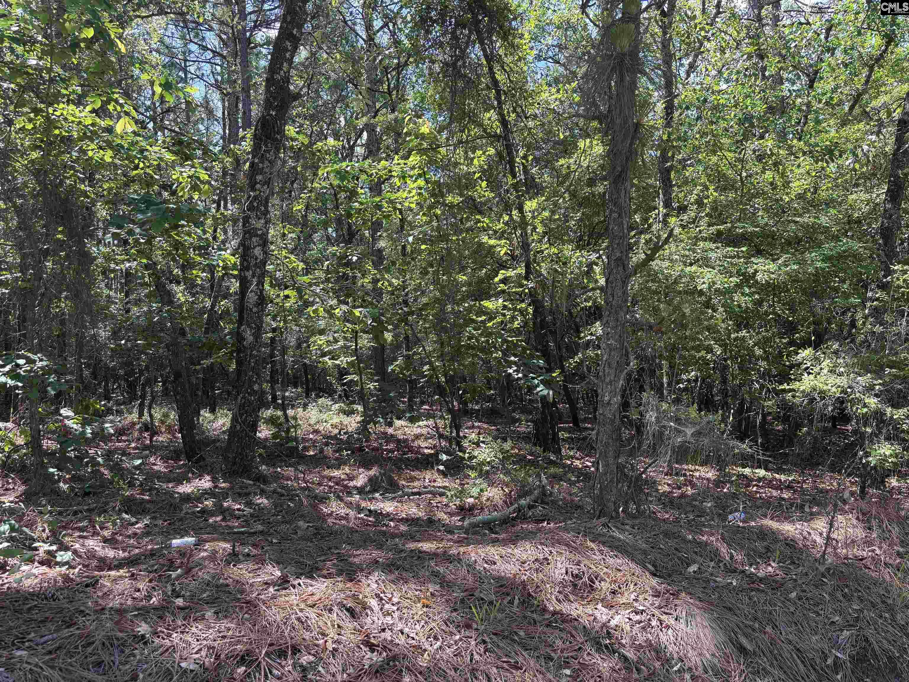 Lot 3 Gary Hallman Circle, Leesville, South Carolina image 8