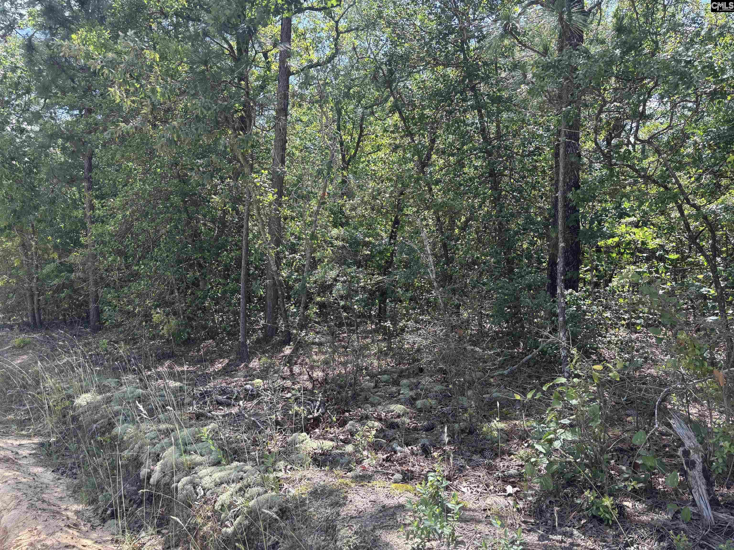 Lot 4 Gary Hallman Circle, Leesville, South Carolina image 2