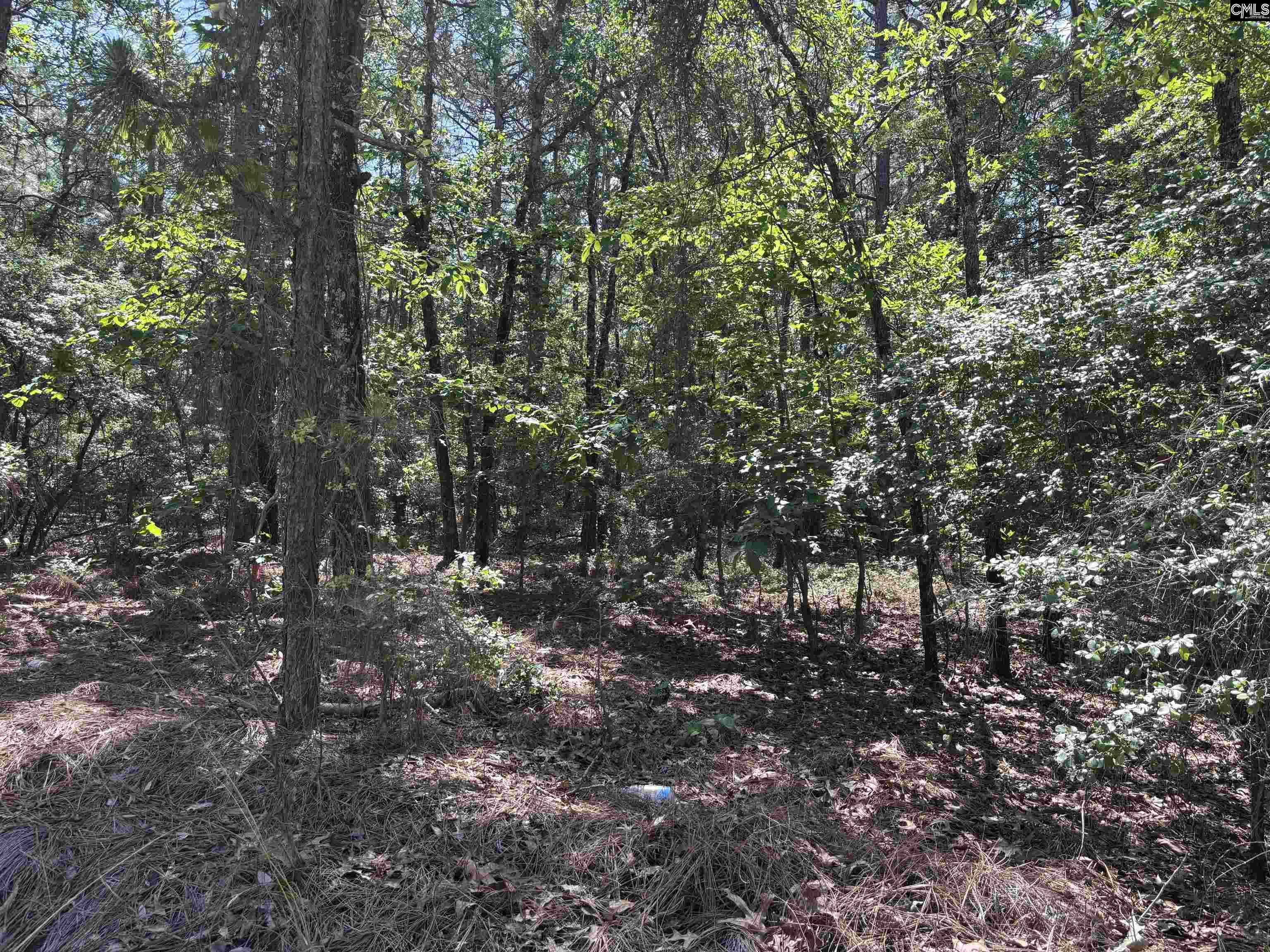 Lot 4 Gary Hallman Circle, Leesville, South Carolina image 4
