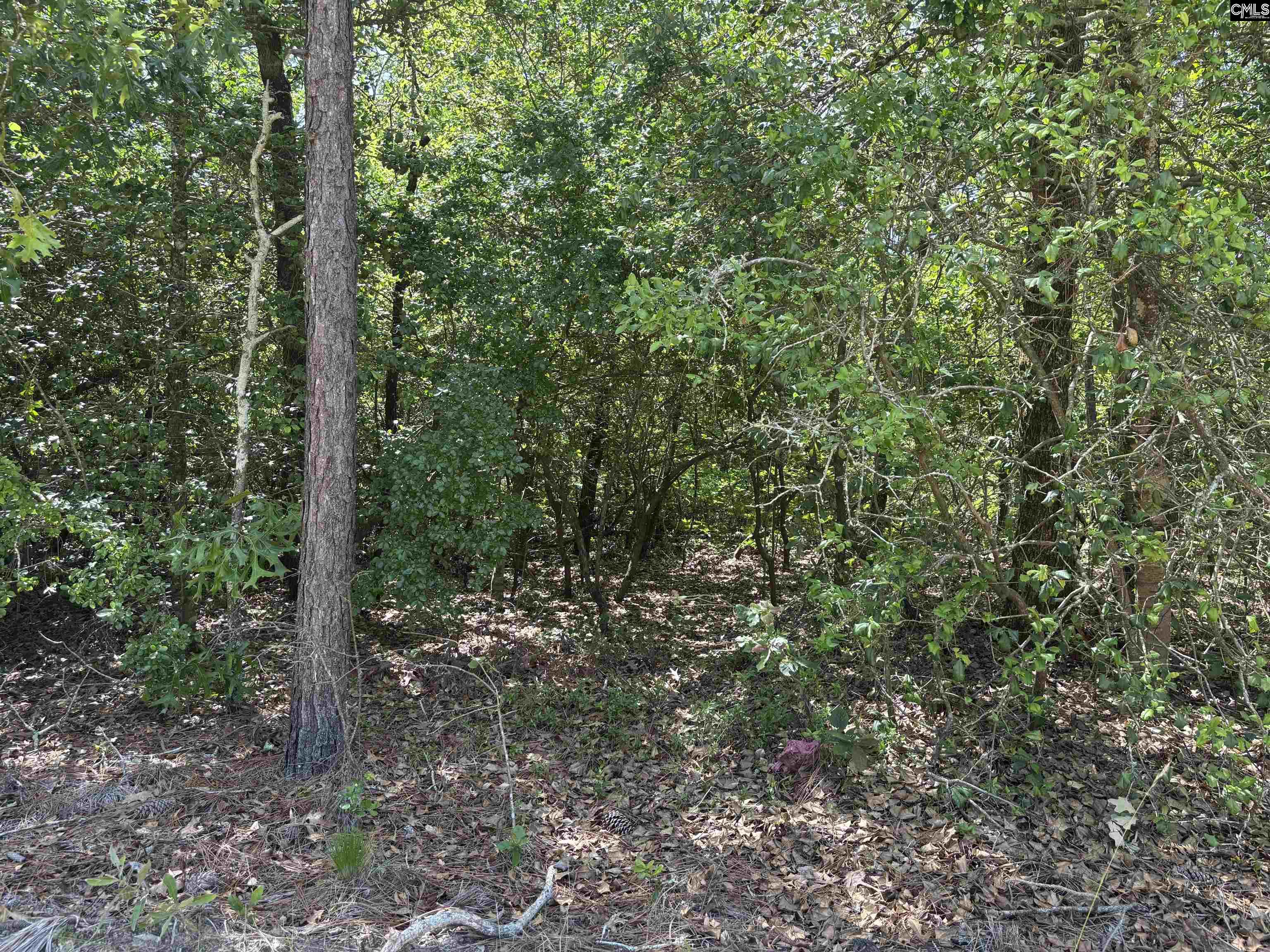 Lot 4 Gary Hallman Circle, Leesville, South Carolina image 5