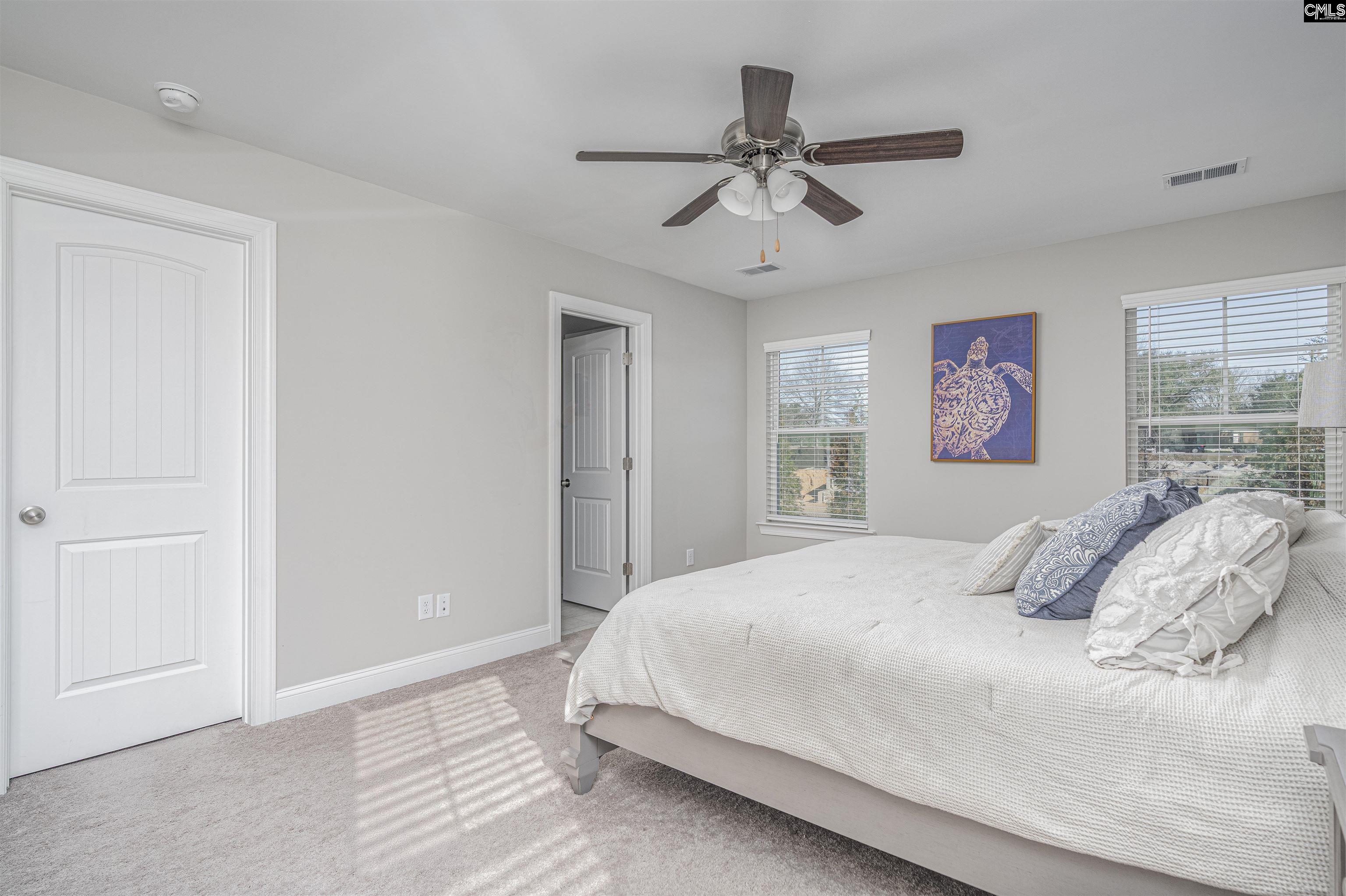 138 Potano Drive, Lexington, South Carolina image 18