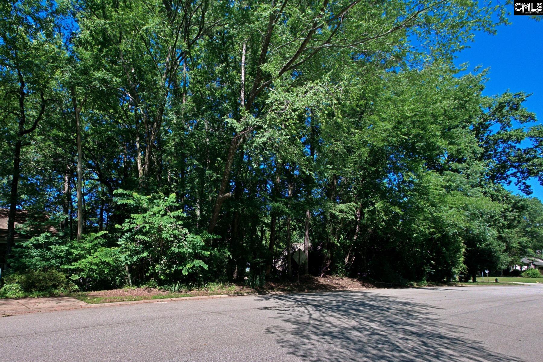 1315 Murraywood Dr, Columbia, South Carolina image 4