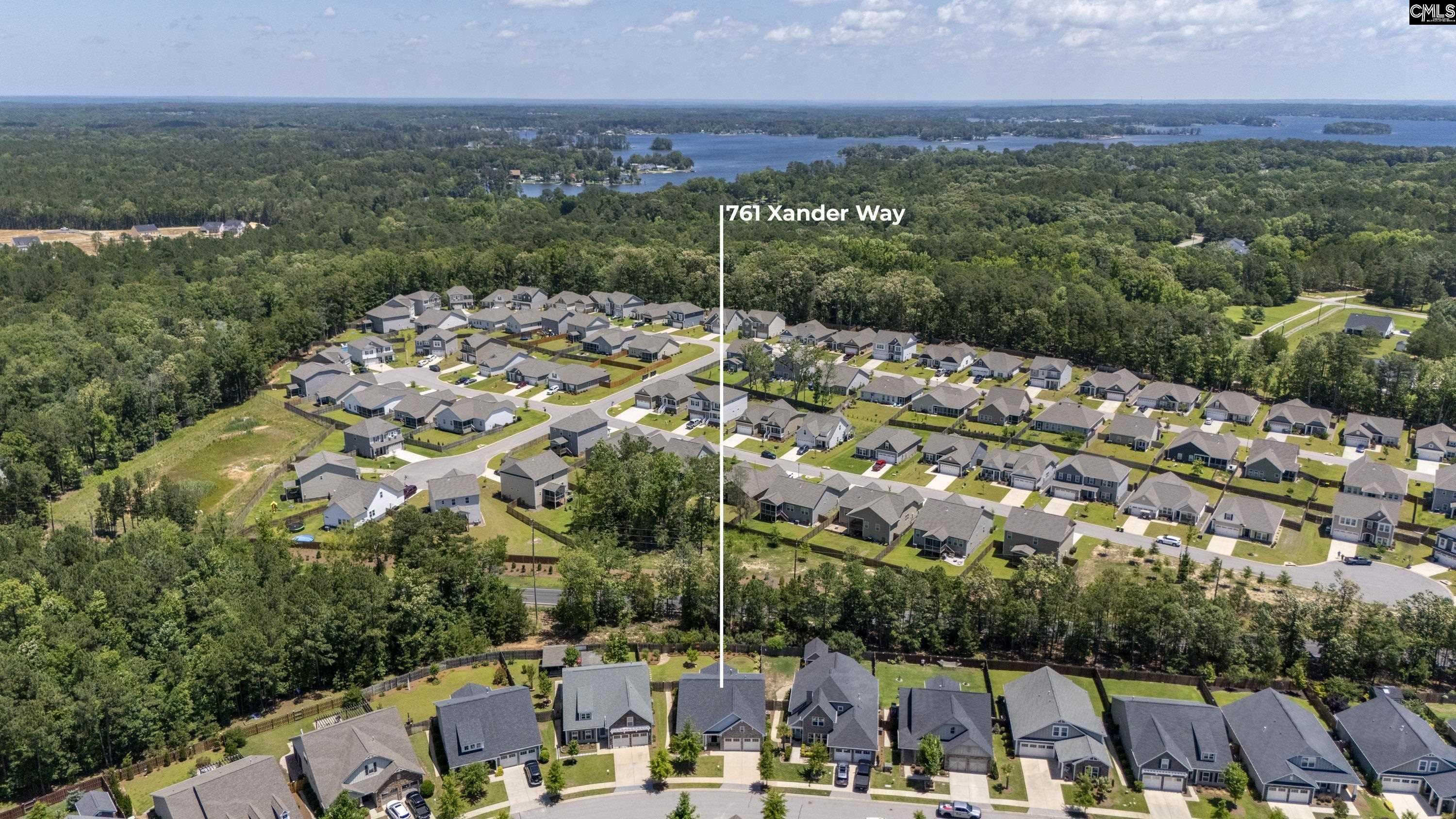 761 Xander Way, Chapin, South Carolina image 3