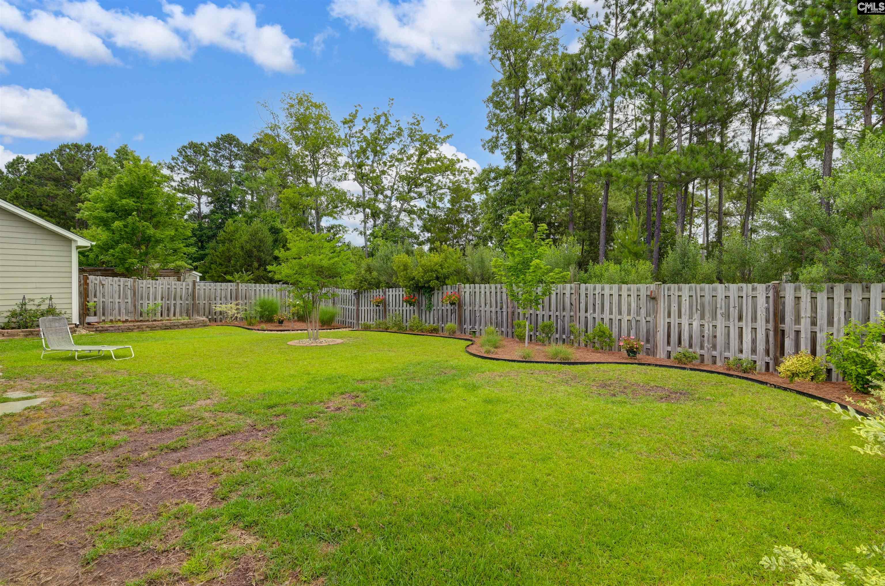 761 Xander Way, Chapin, South Carolina image 50