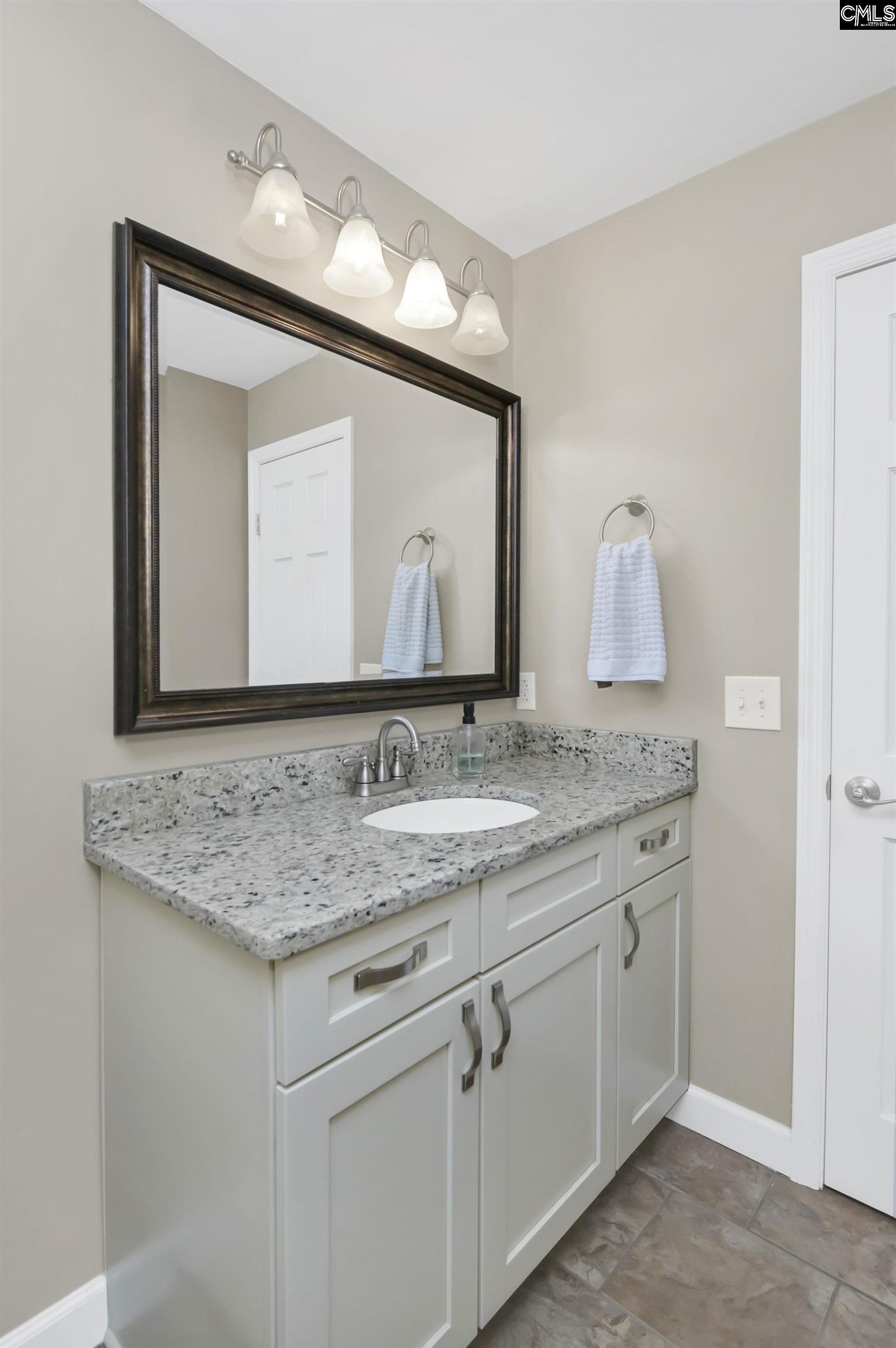 340 Dutchman Shores Circle, Chapin, South Carolina image 15