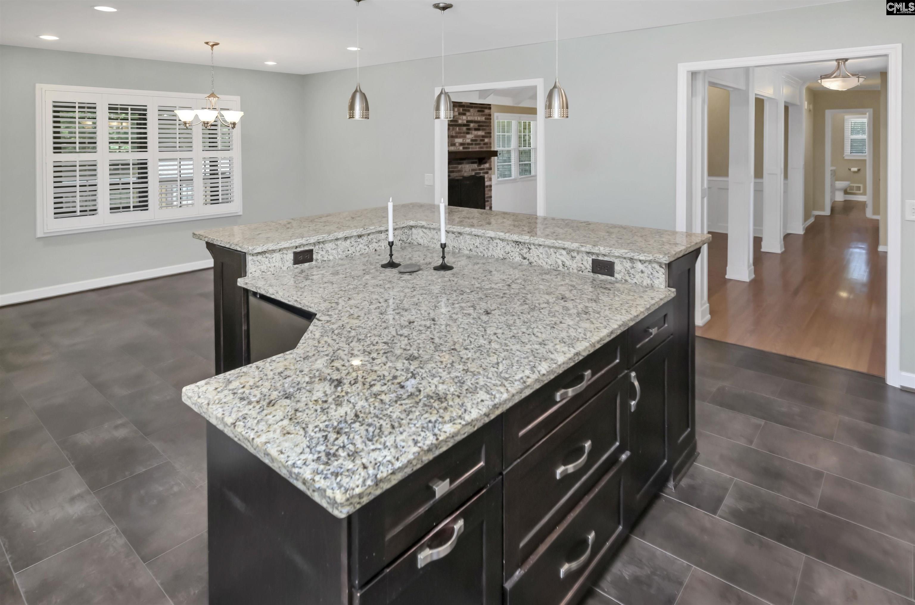 340 Dutchman Shores Circle, Chapin, South Carolina image 21