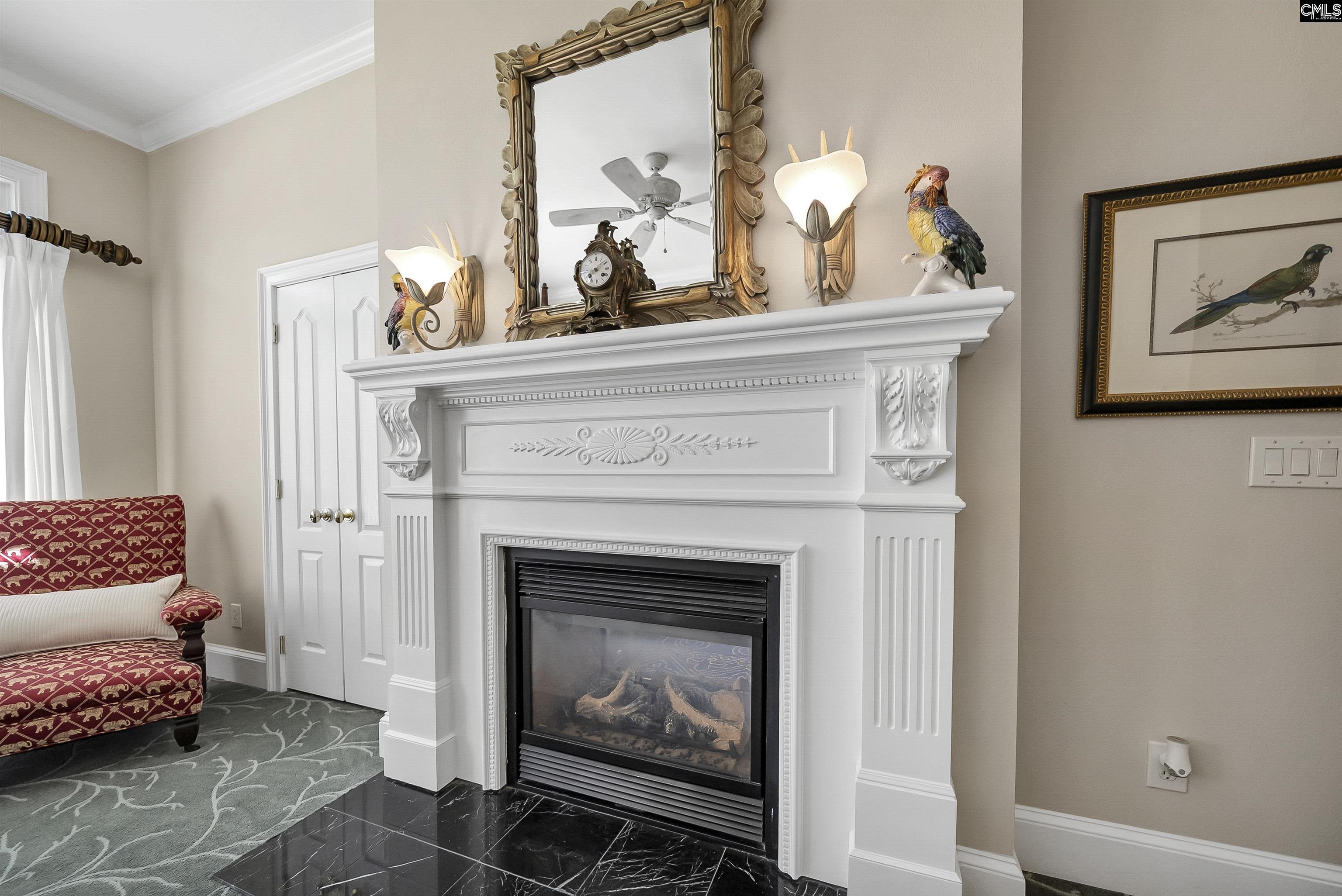 233 Lake Estate Drive, Chapin, South Carolina image 29