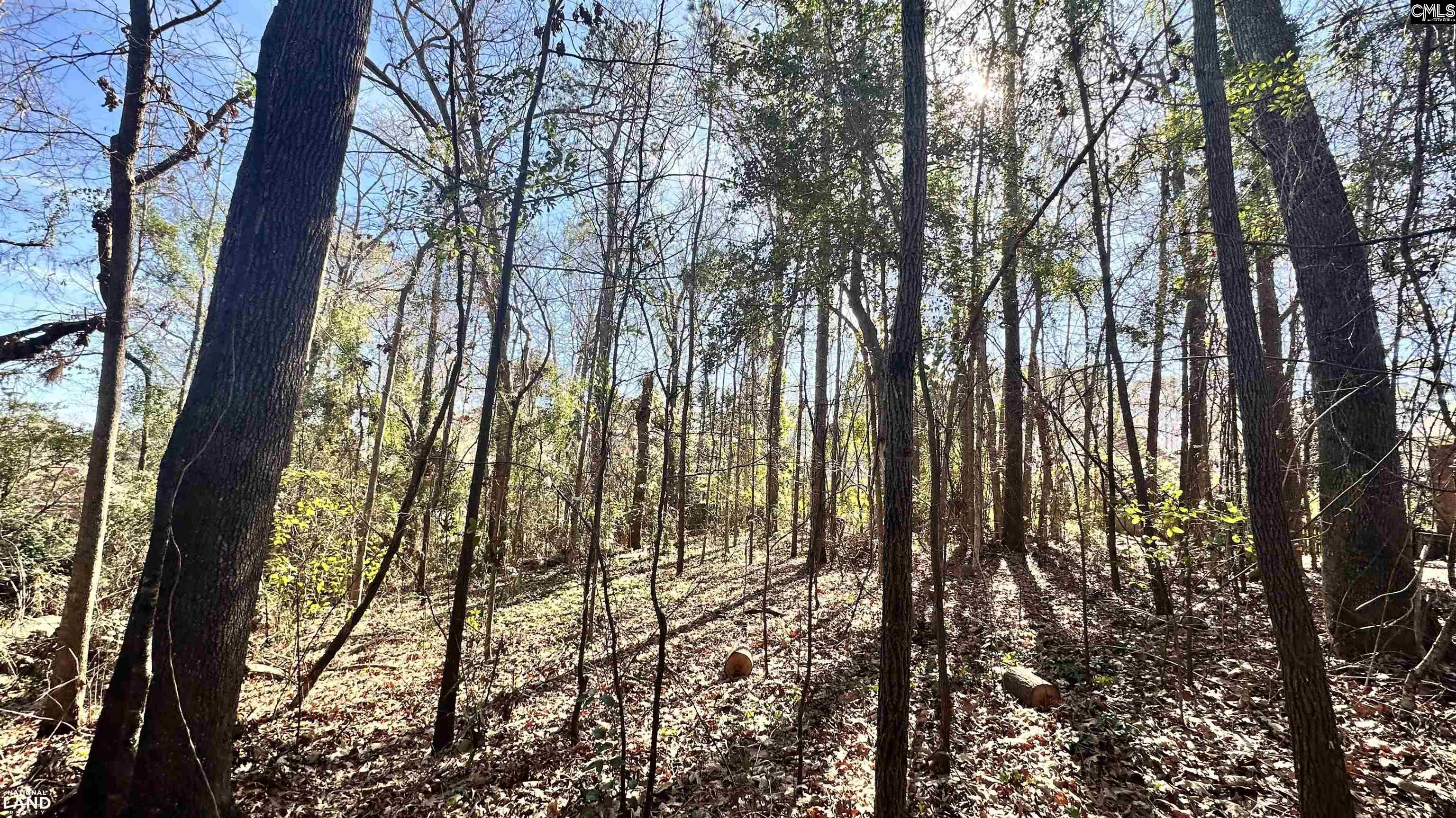 217 Char Oak Drive Columbia, SC 29212