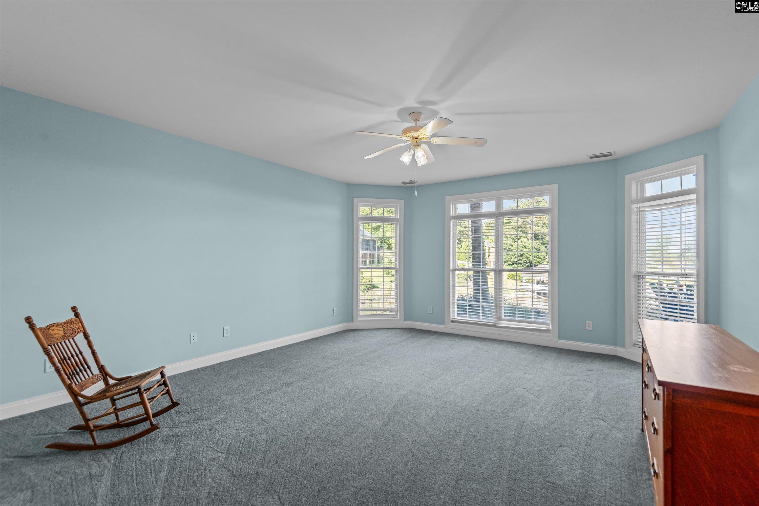 132 Magnolia Key Drive, Chapin, South Carolina image 41