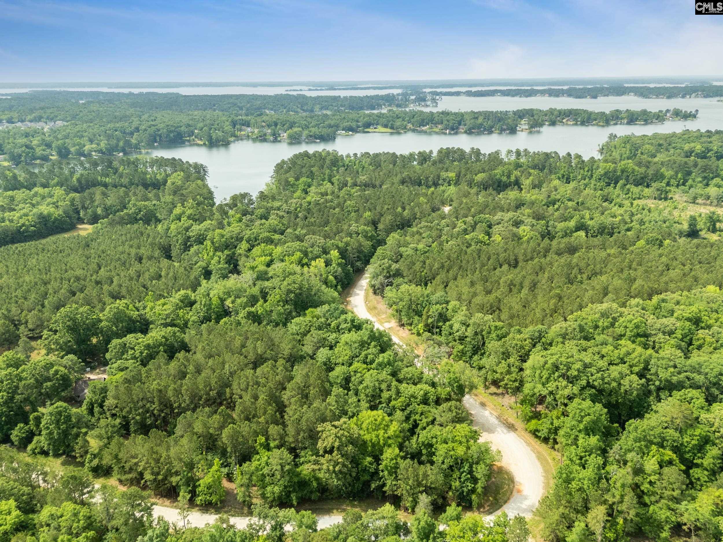 720 Clipper Trail, Chapin, South Carolina image 12