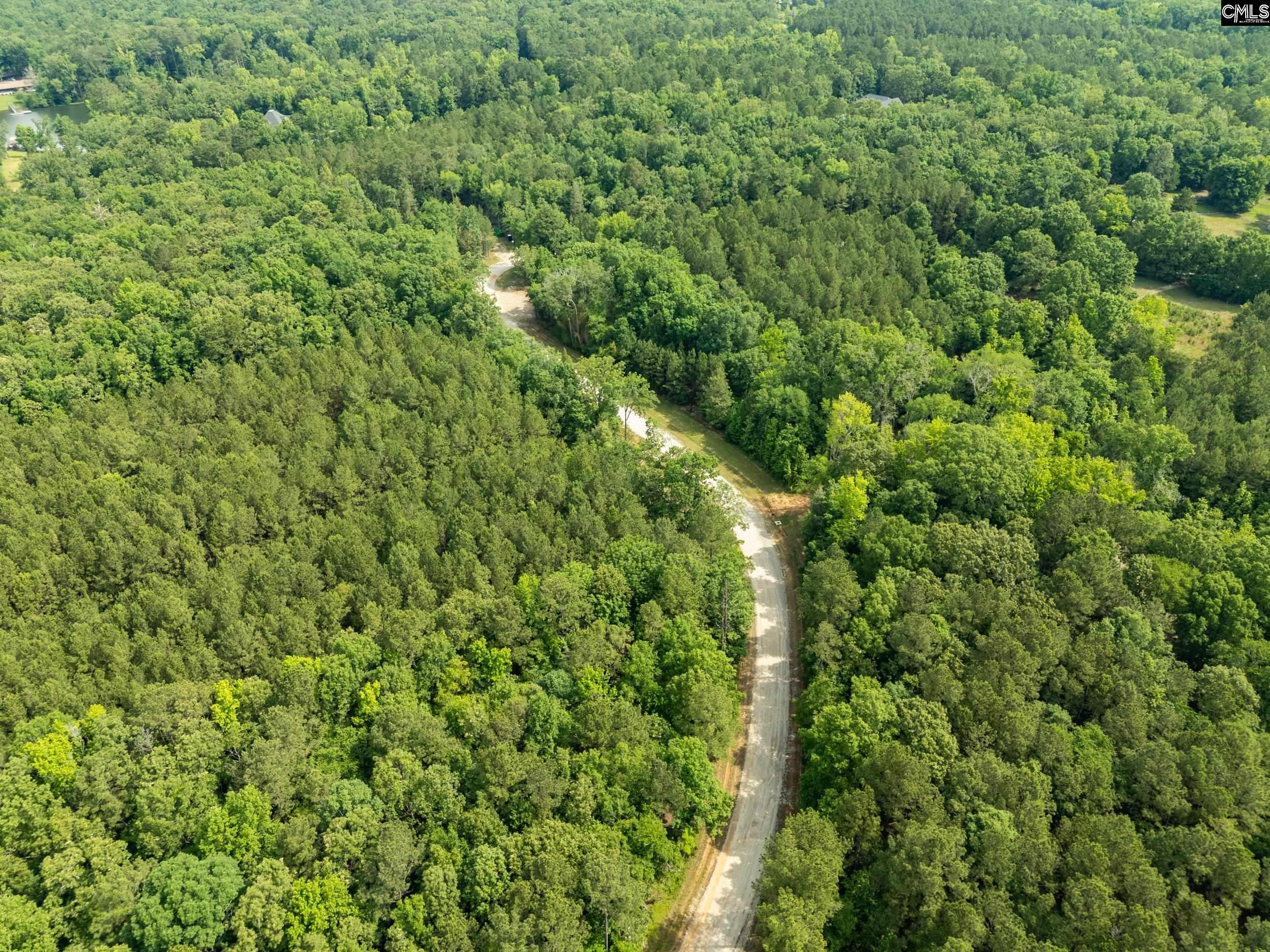 720 Clipper Trail, Chapin, South Carolina image 14