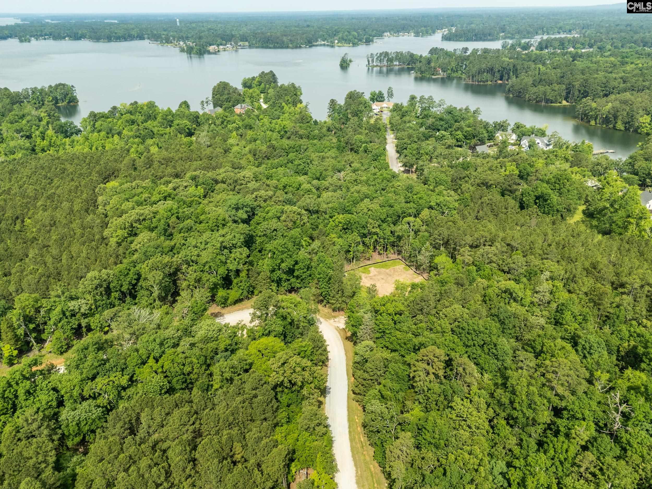 720 Clipper Trail, Chapin, South Carolina image 15
