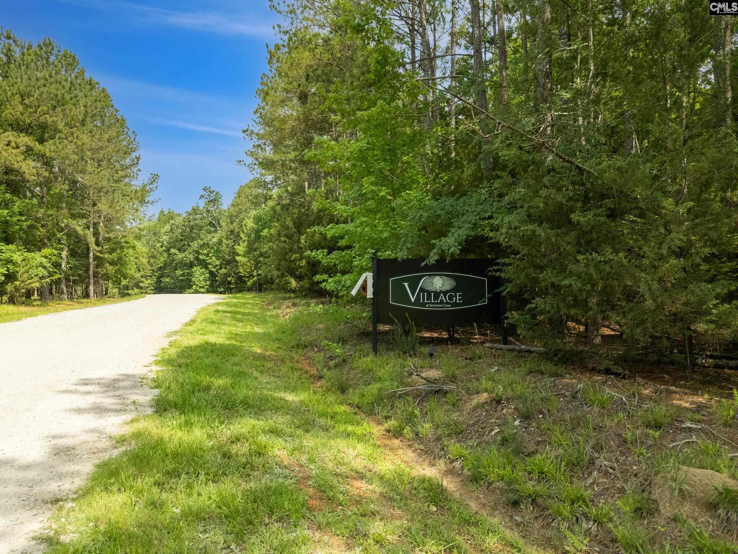 720 Clipper Trail, Chapin, South Carolina image 3