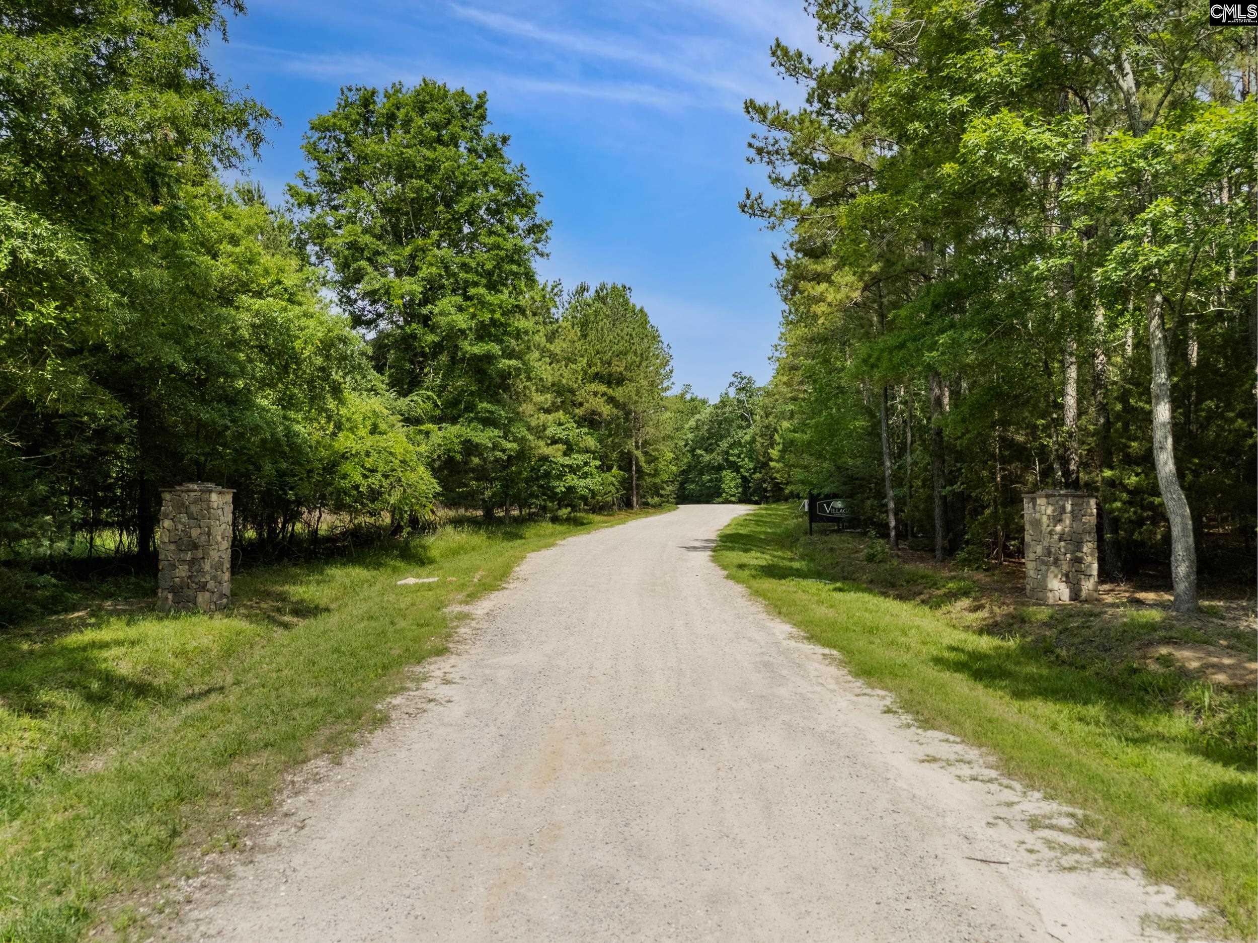 720 Clipper Trail, Chapin, South Carolina image 4
